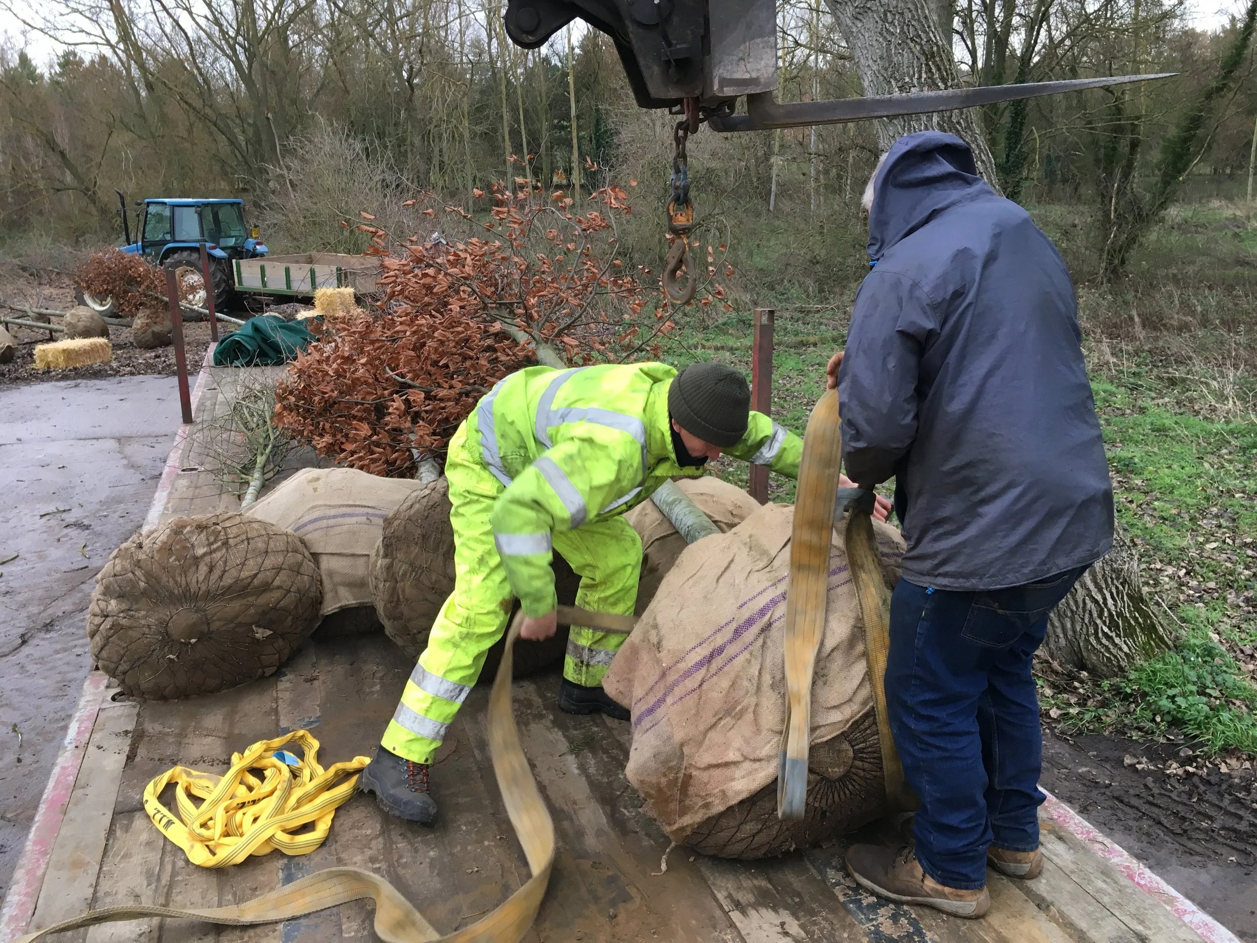 Parkland Restoration Scheme
