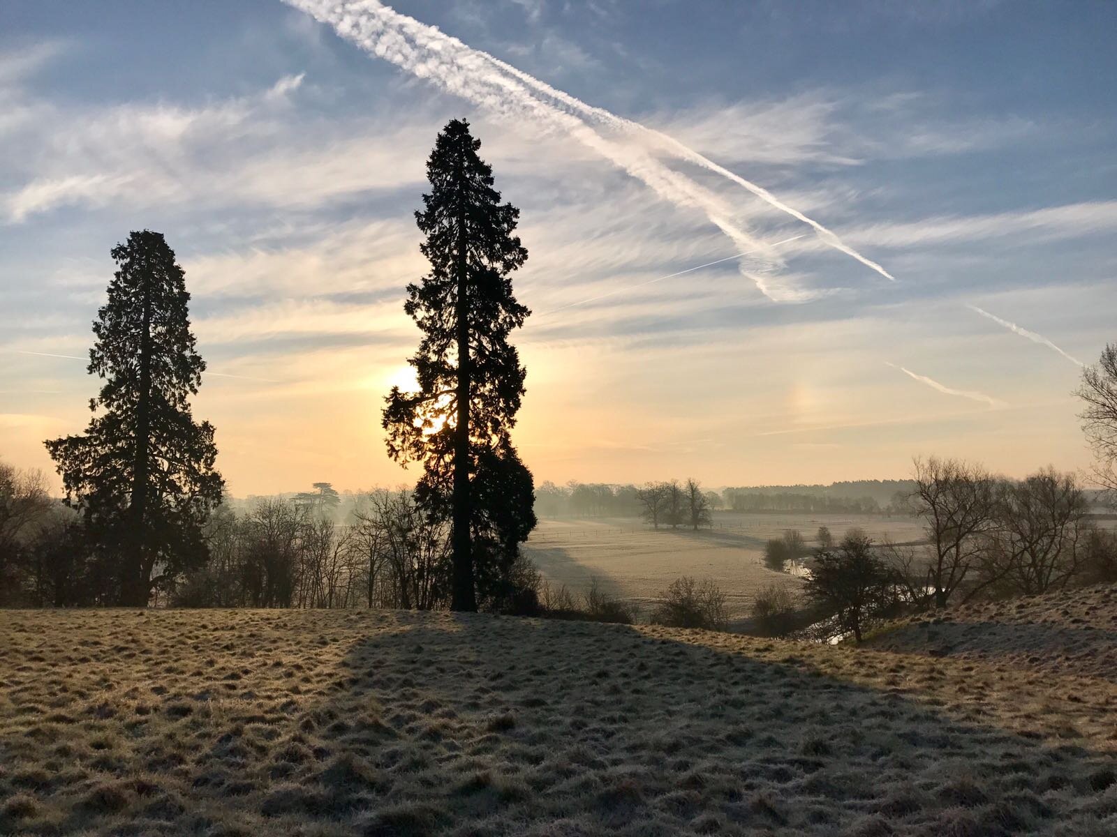   Alscot Biodiversity Project   It is our mission to work to secure a future for plant and animal species by the improvement of natural grasslands; encouraging rare and almost extinct species to thrive, and by planting trees and hedgerows.  