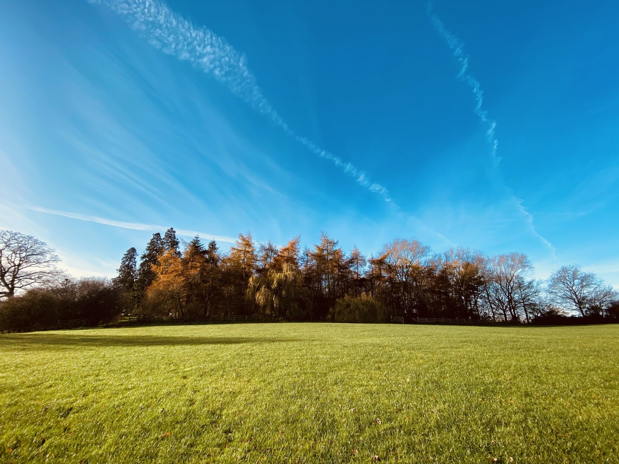 Alscot's Biodiversity Site - Lake Park