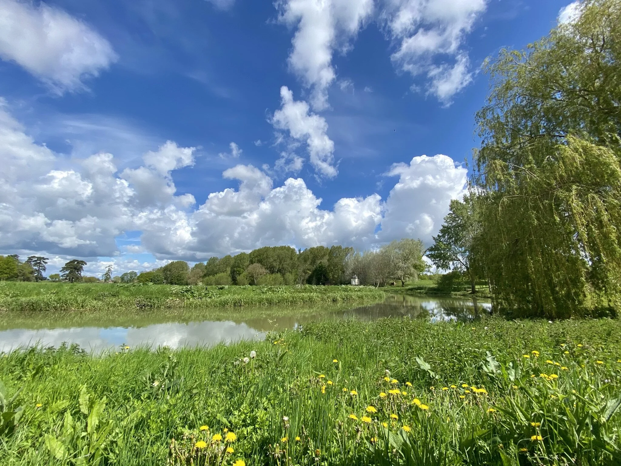 Balancing Business and Biodiversity