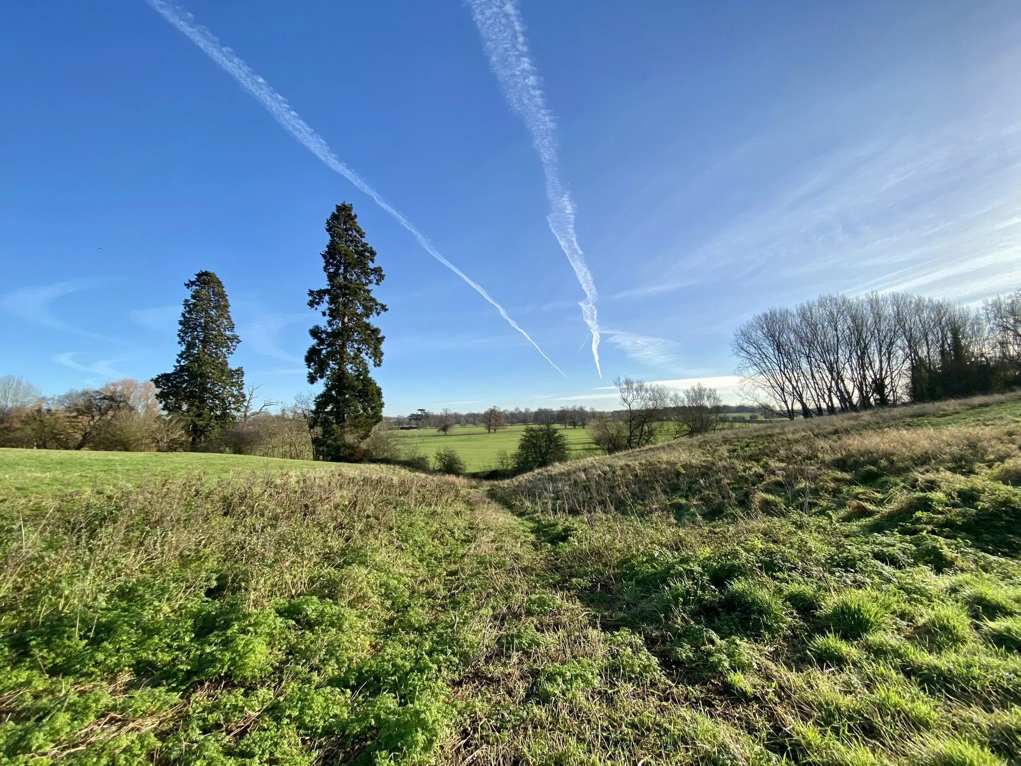 Alscot Biodiversity Project