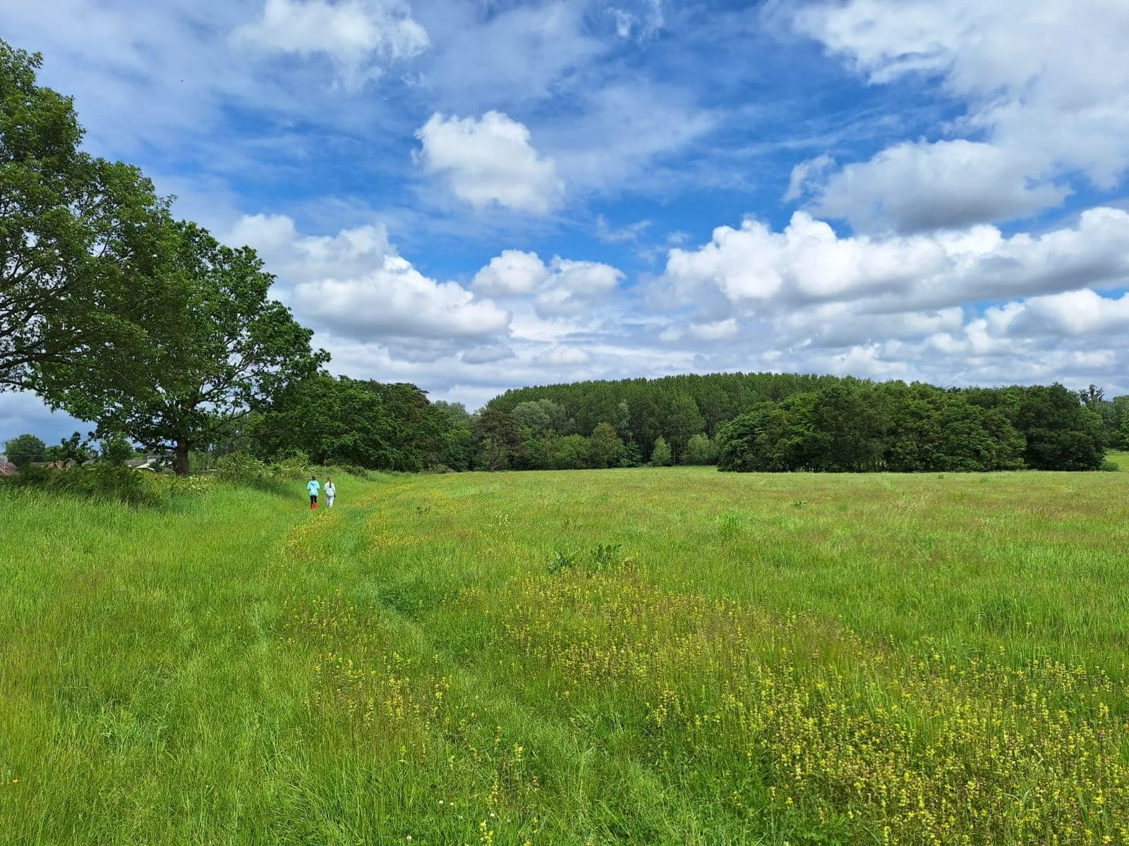 Alscot's Biodiversity Net Gain site, a place to study nature