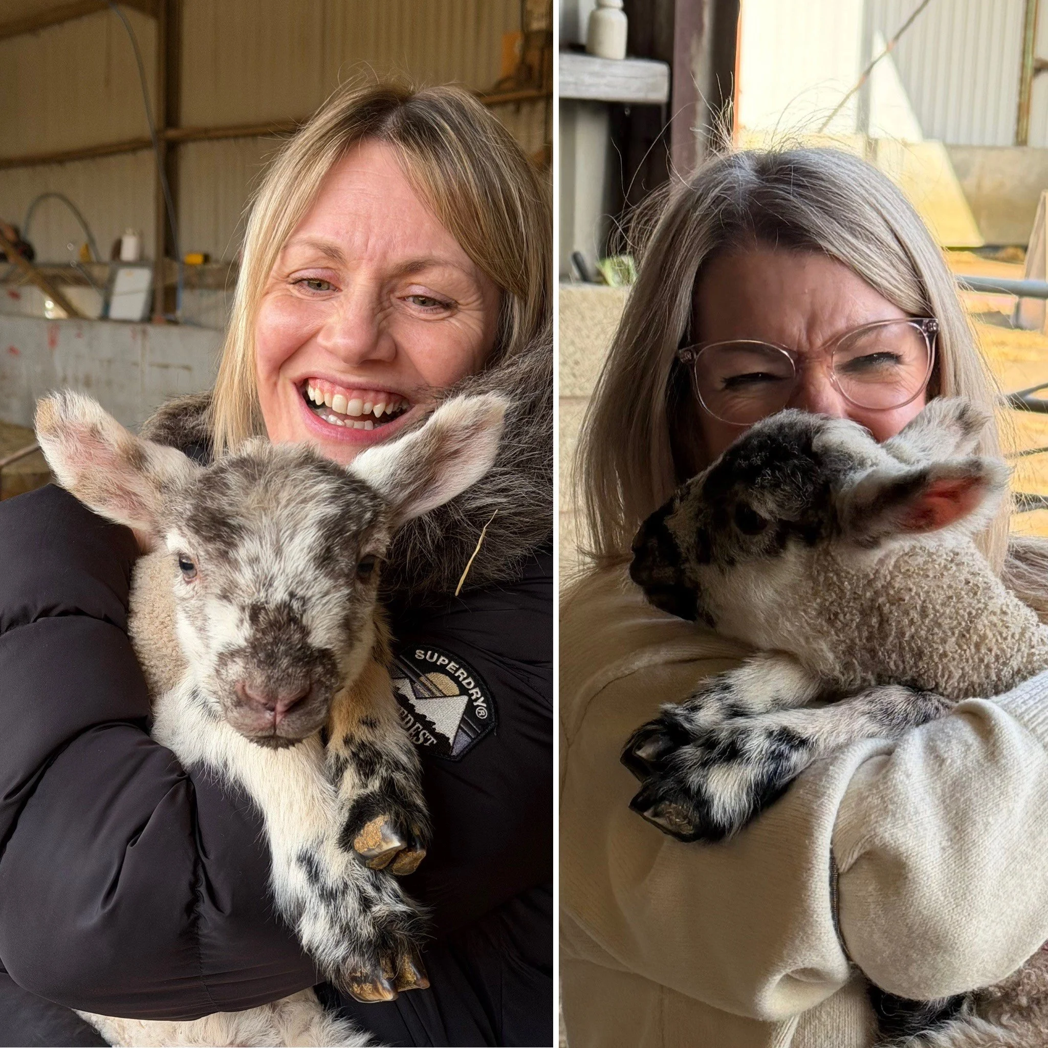 Read the Latest Copy of The Eye!