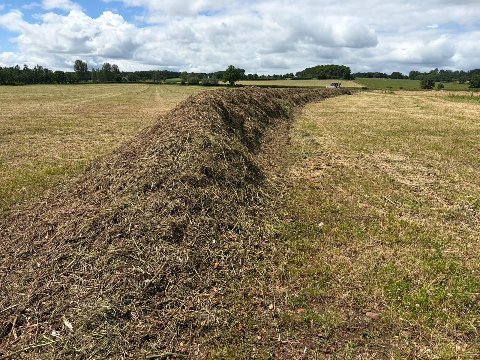 Organic Composting