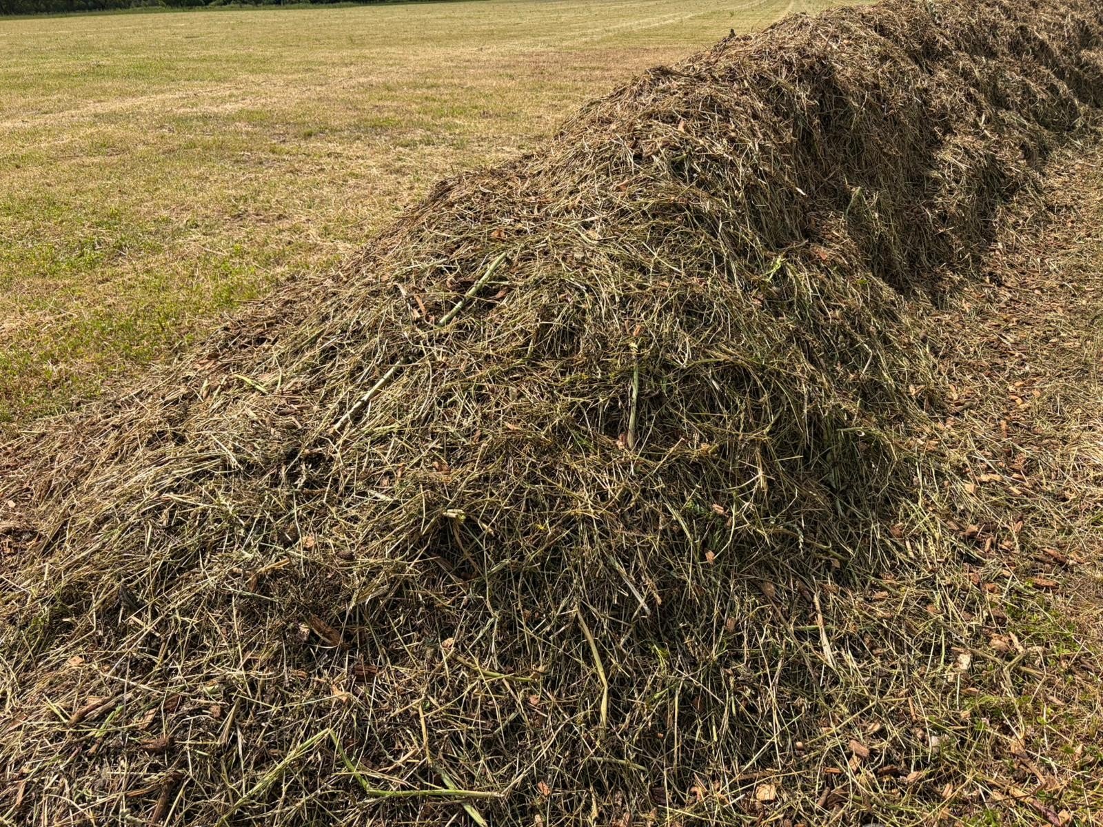 COMPOSTING 1.jpg