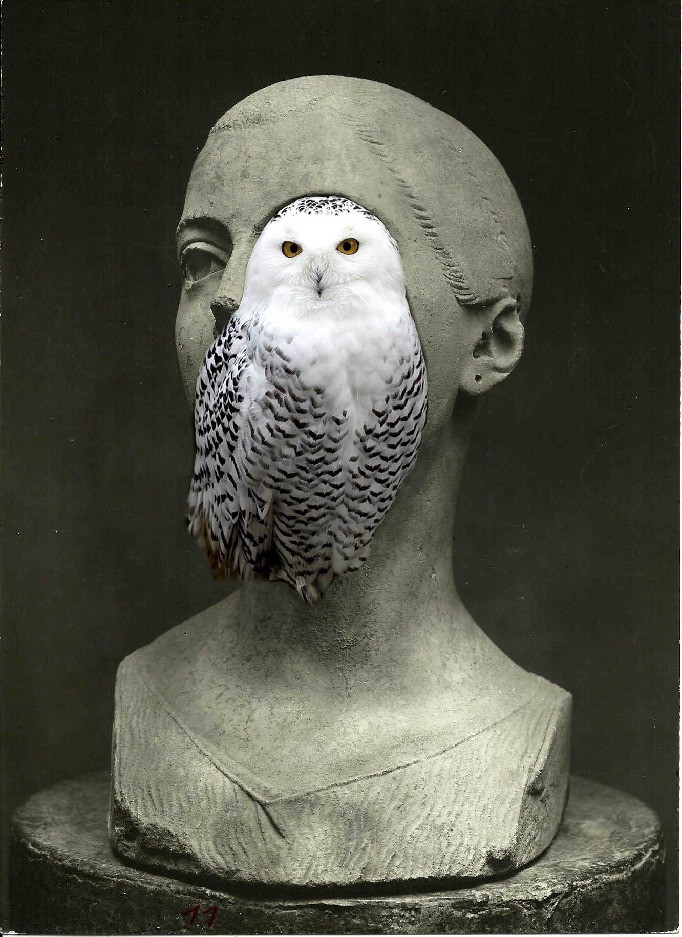 Untitled, 2014 Castrum Peregrini