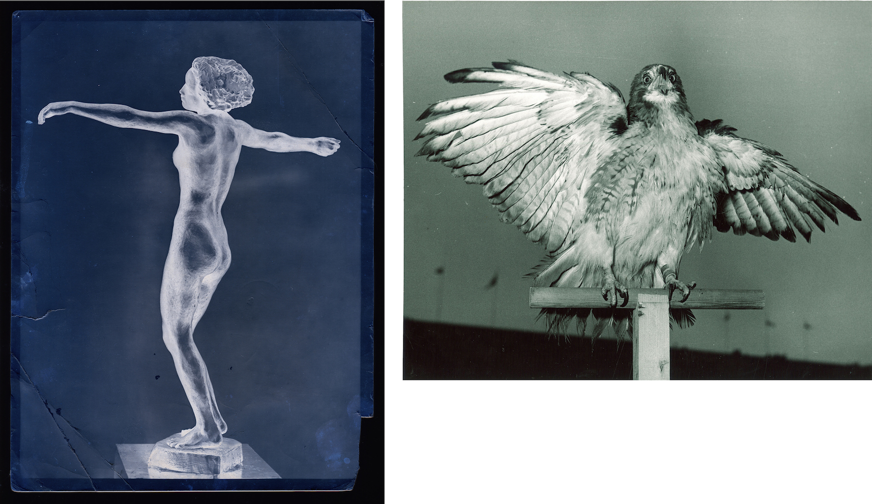 diptych.jpg