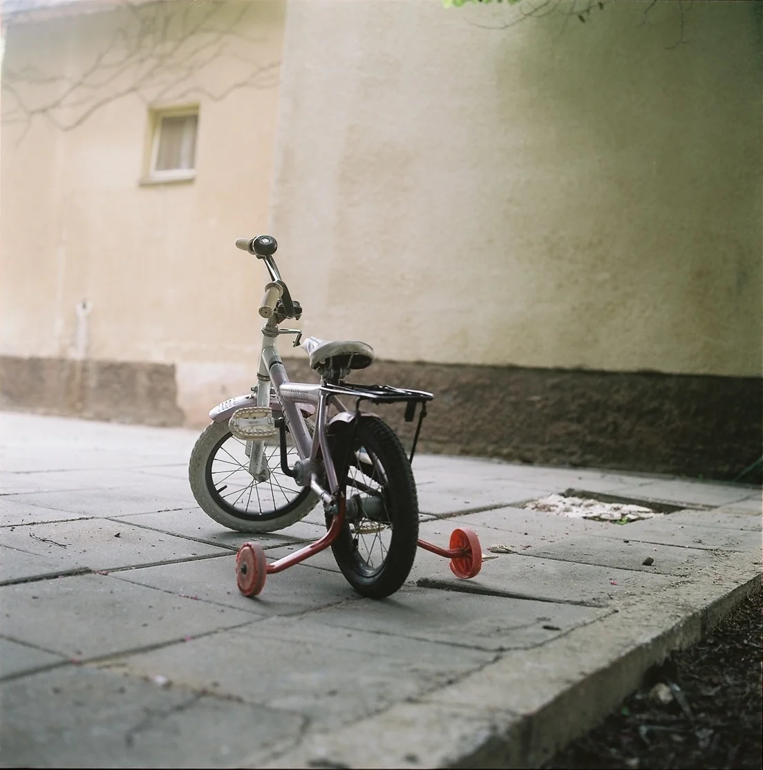 003.jpg