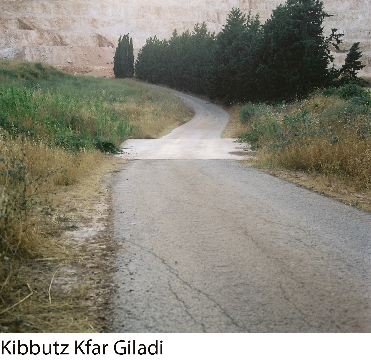 2011 | Kibbutz Kfar Giladi
