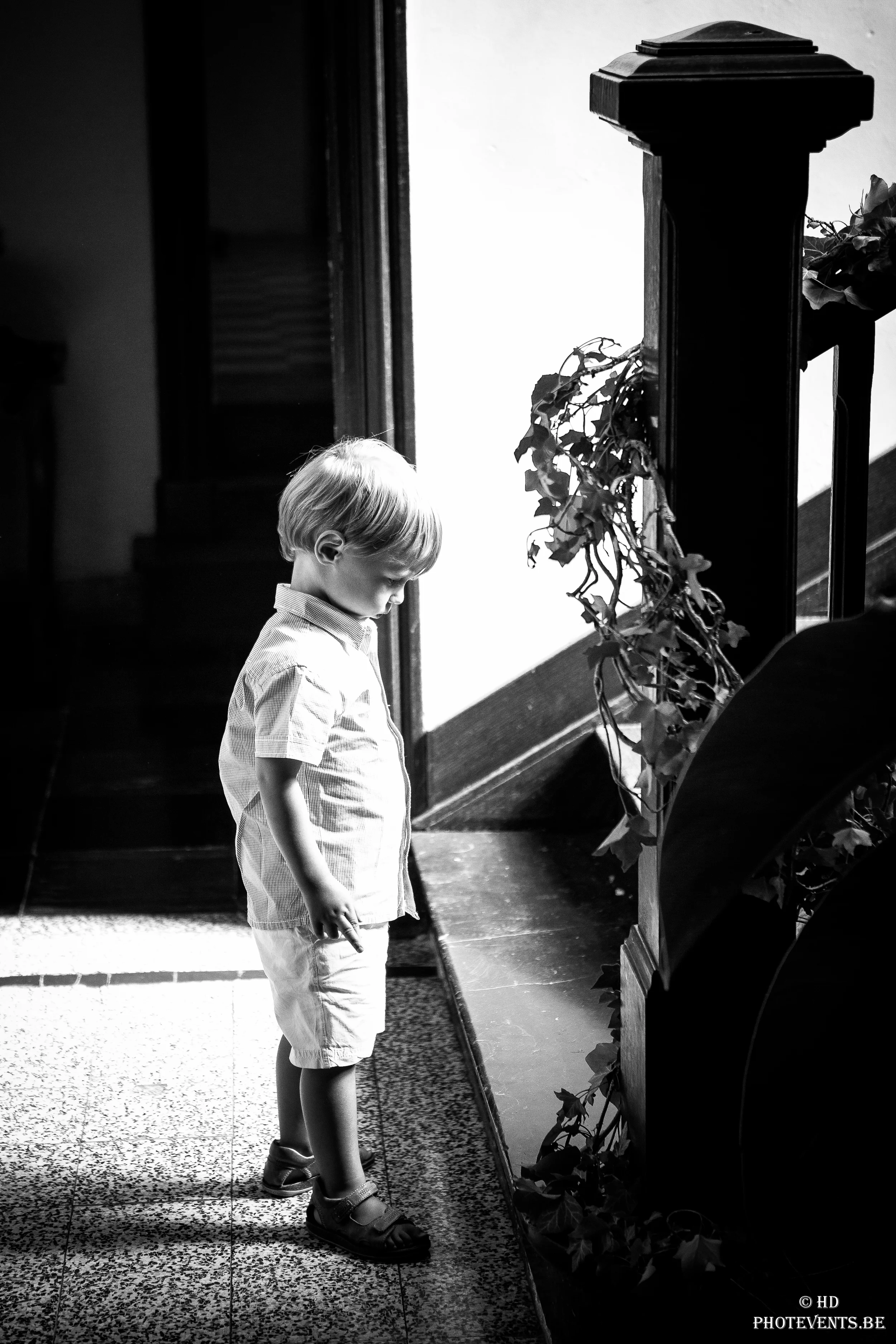 HDlight Photography www.hdlight.be Hervé Dupret