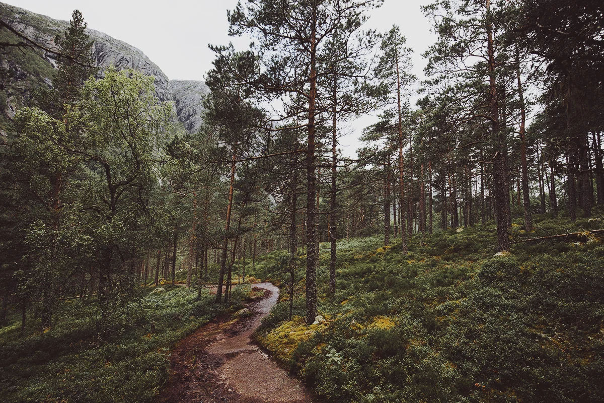 norway_denmark (19).jpg
