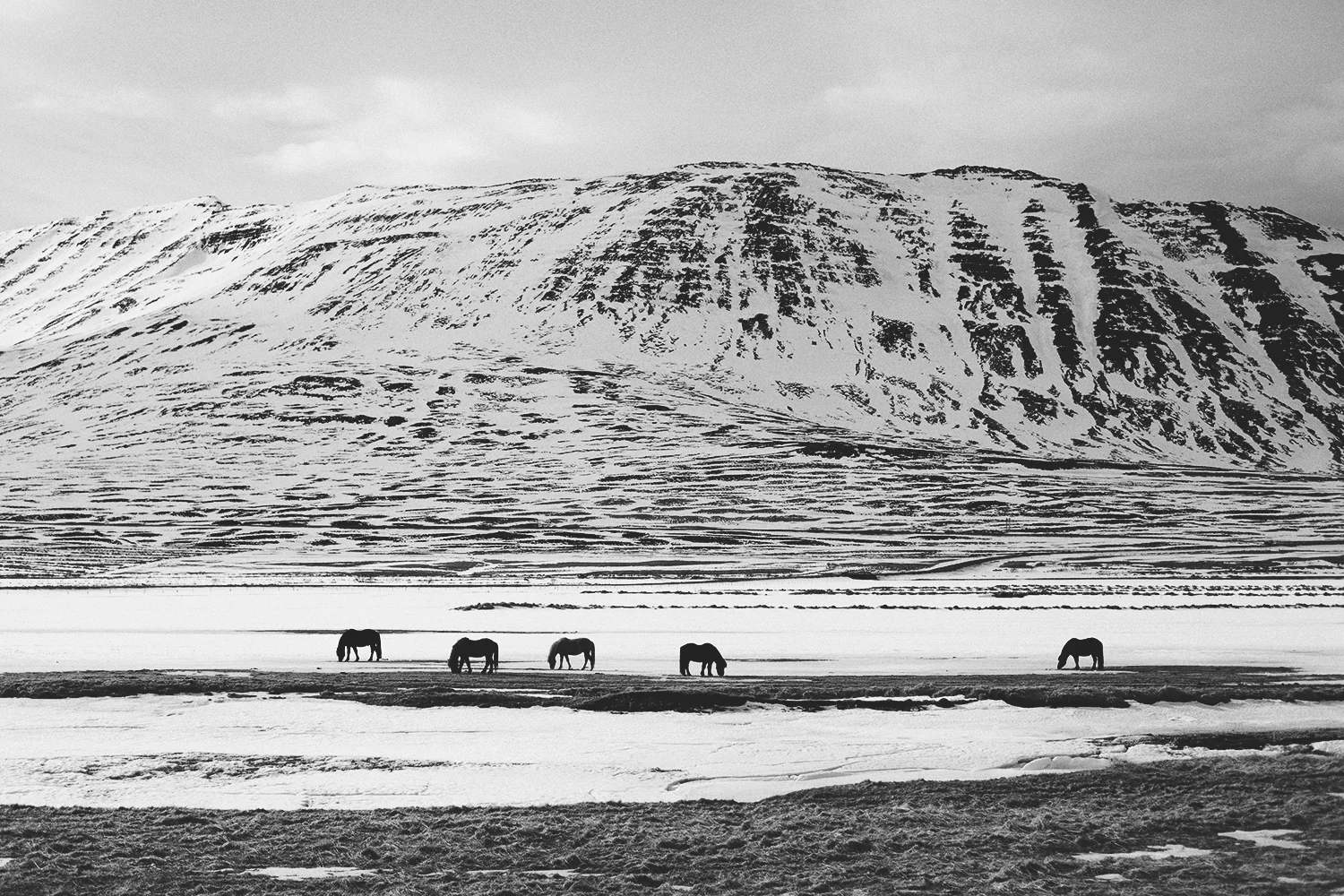 Iceland (30).jpg