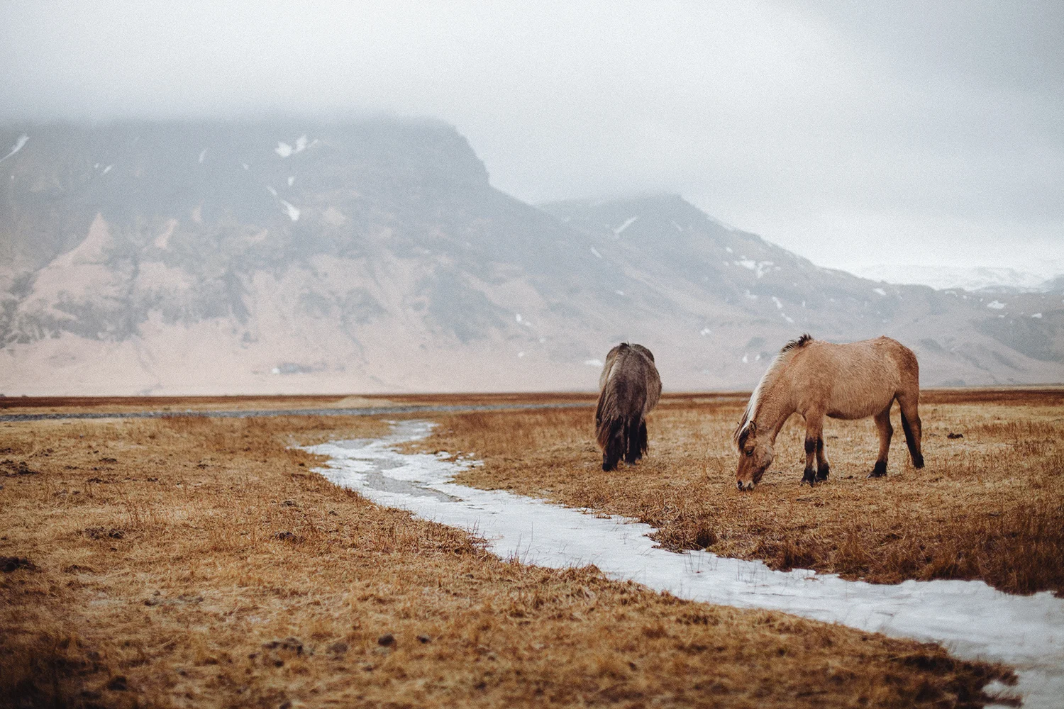 Iceland (54).jpg