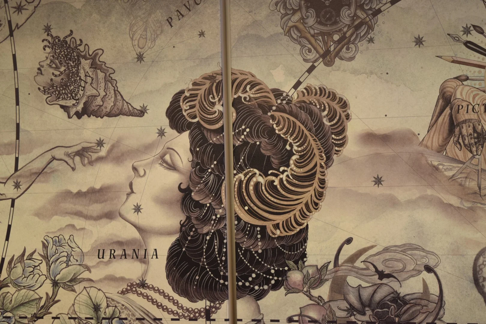 DSC_1505 (Large).JPG