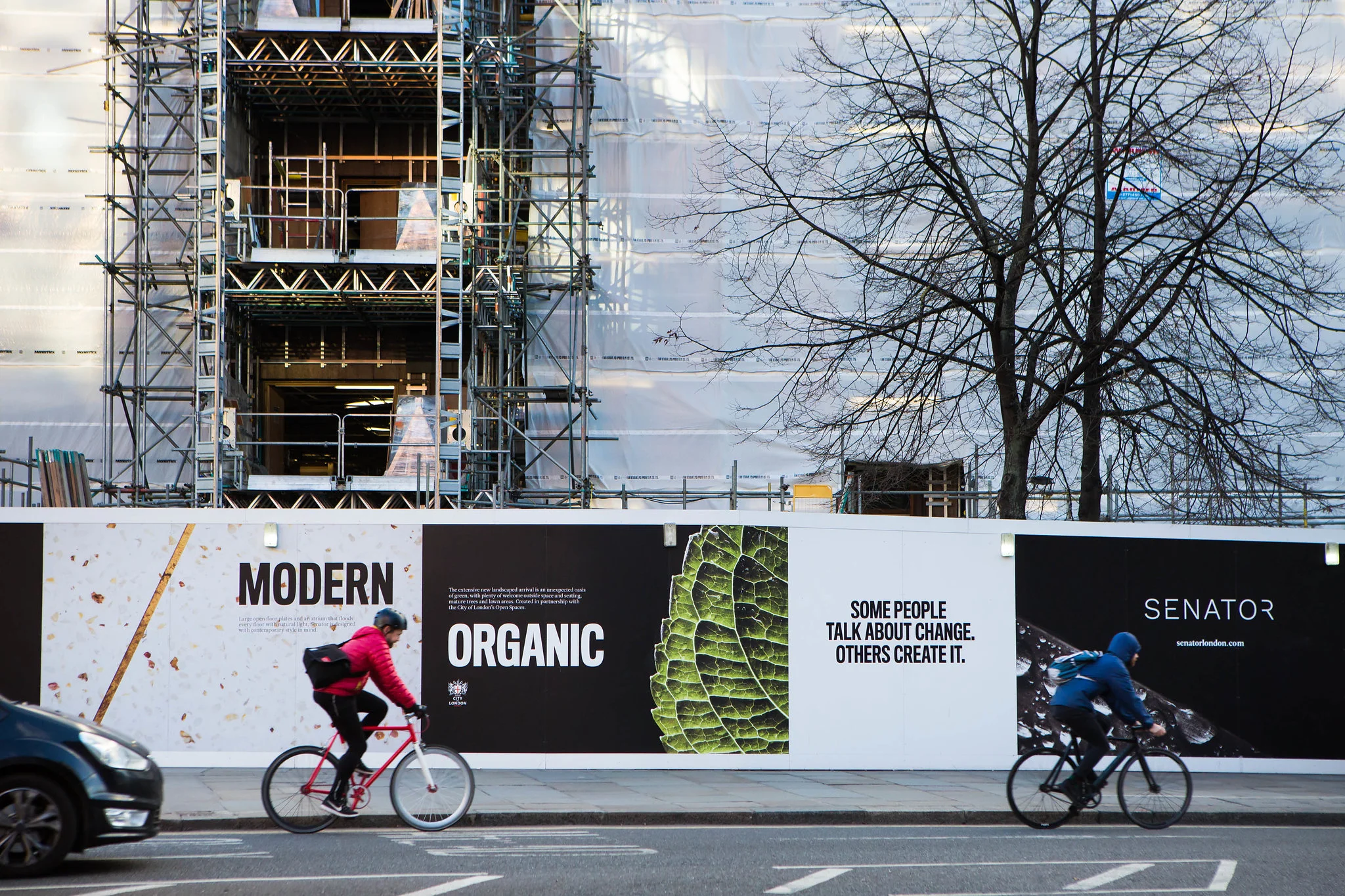 Senator House Hoarding