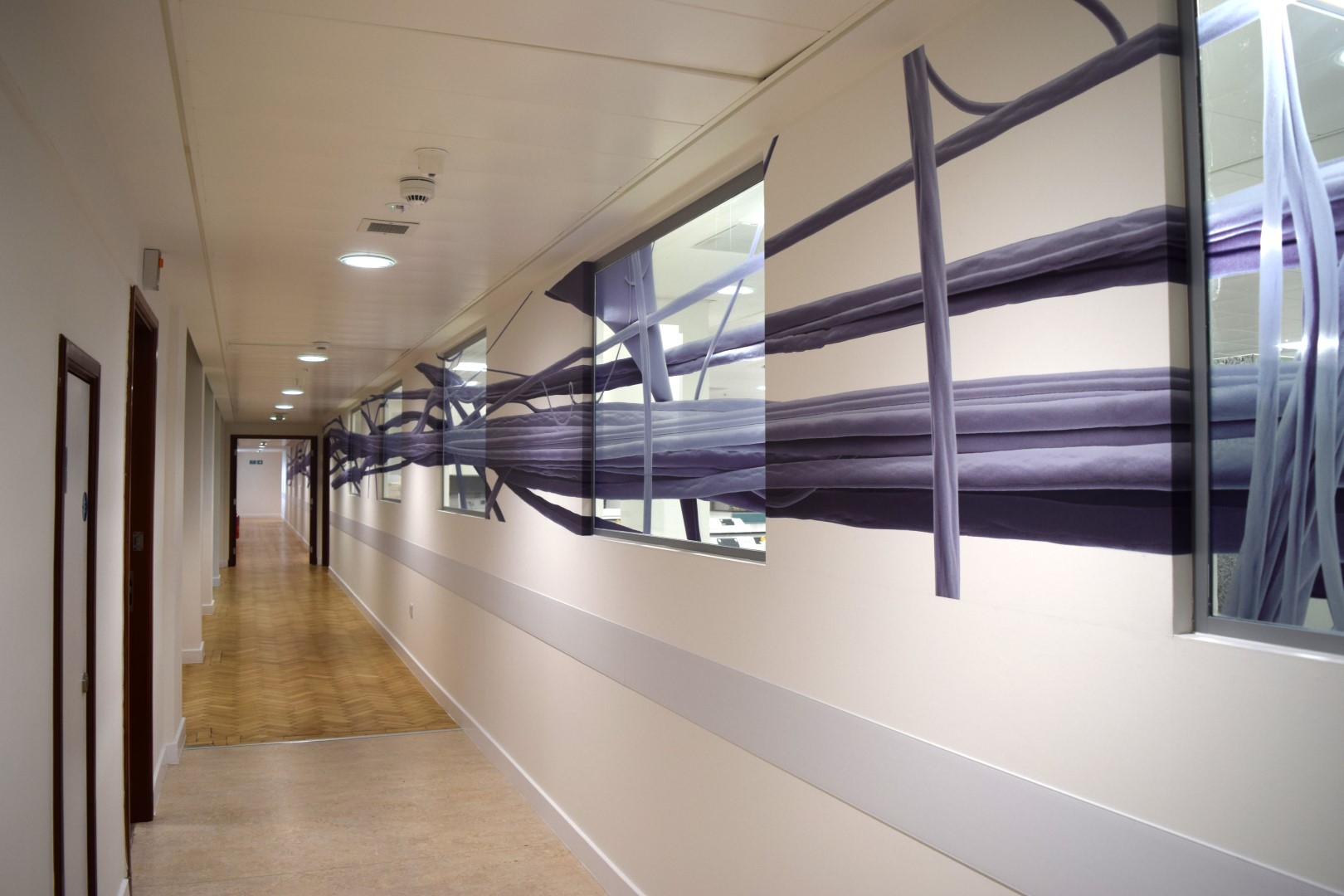 UCL - Interior Graphics