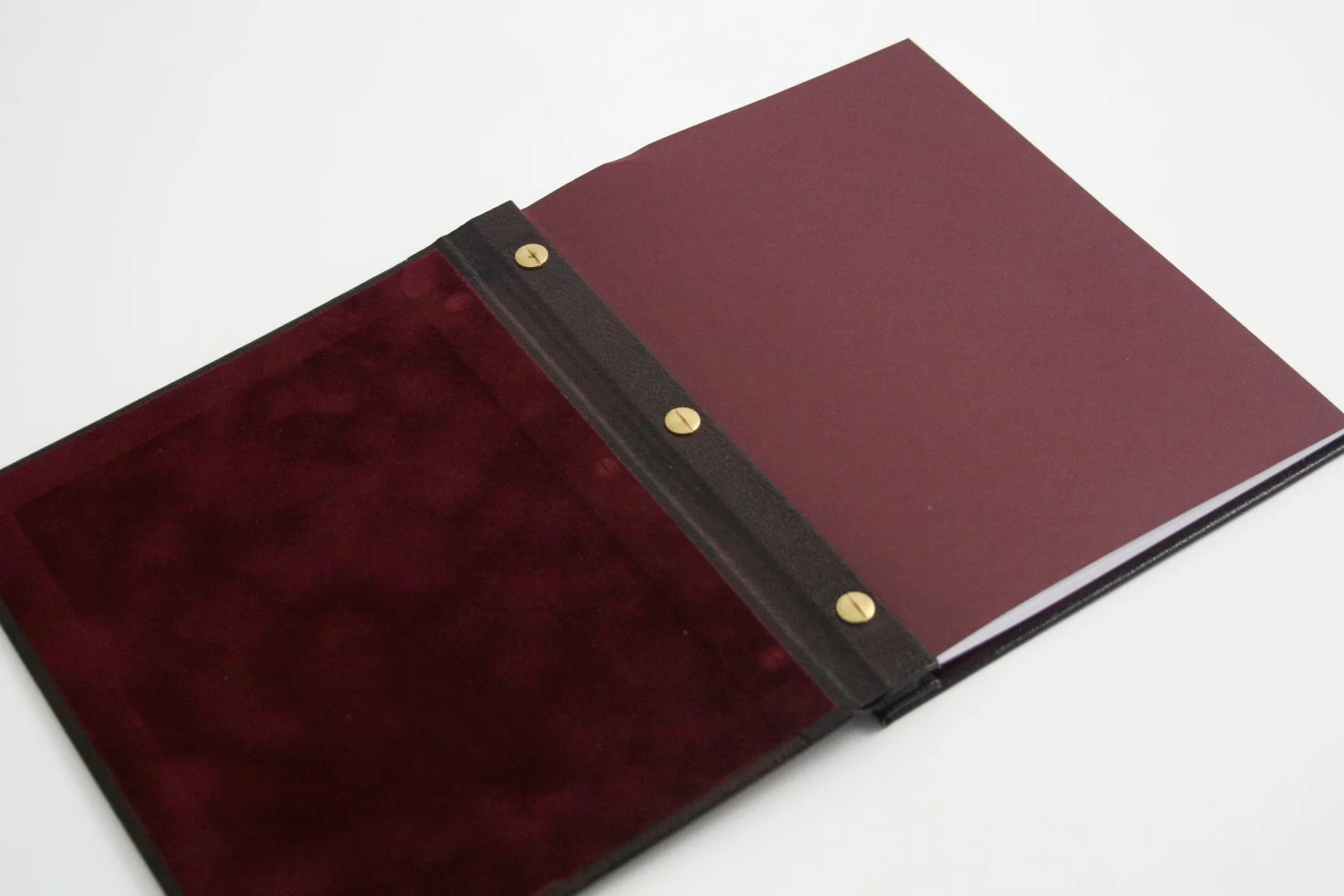 IMG_2519 (Large).JPG