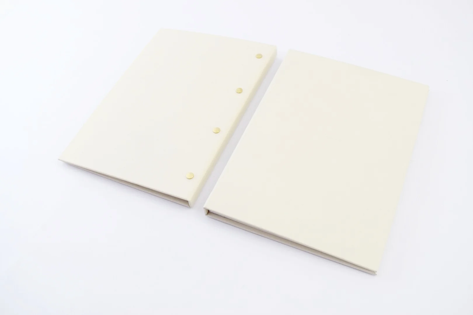 DSC_0060 (Large).JPG