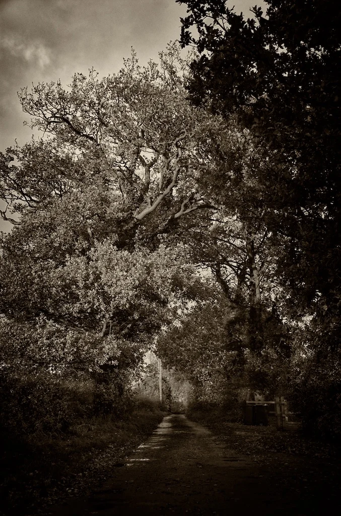 Taking A Leaf Out Of Our Book