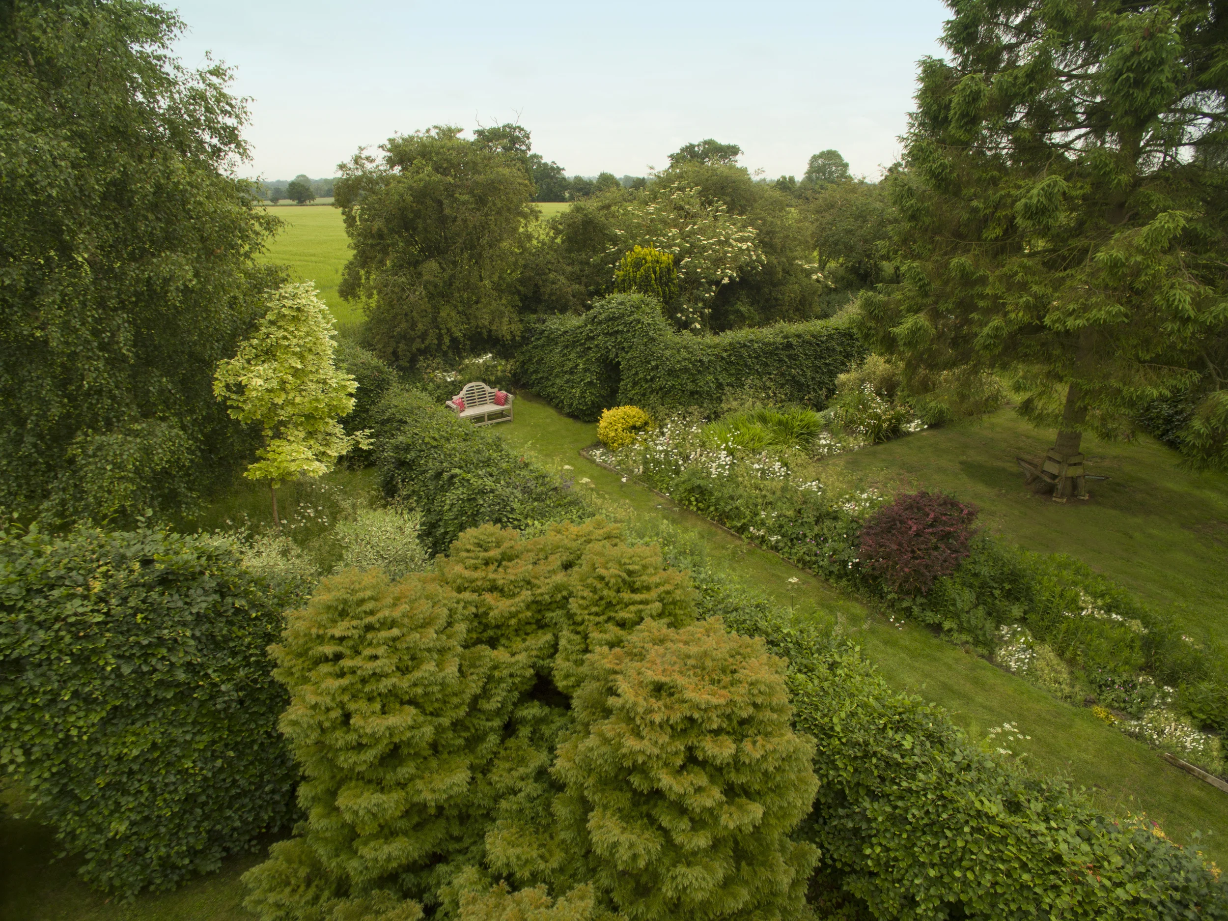 Everything is Coming up Daisies