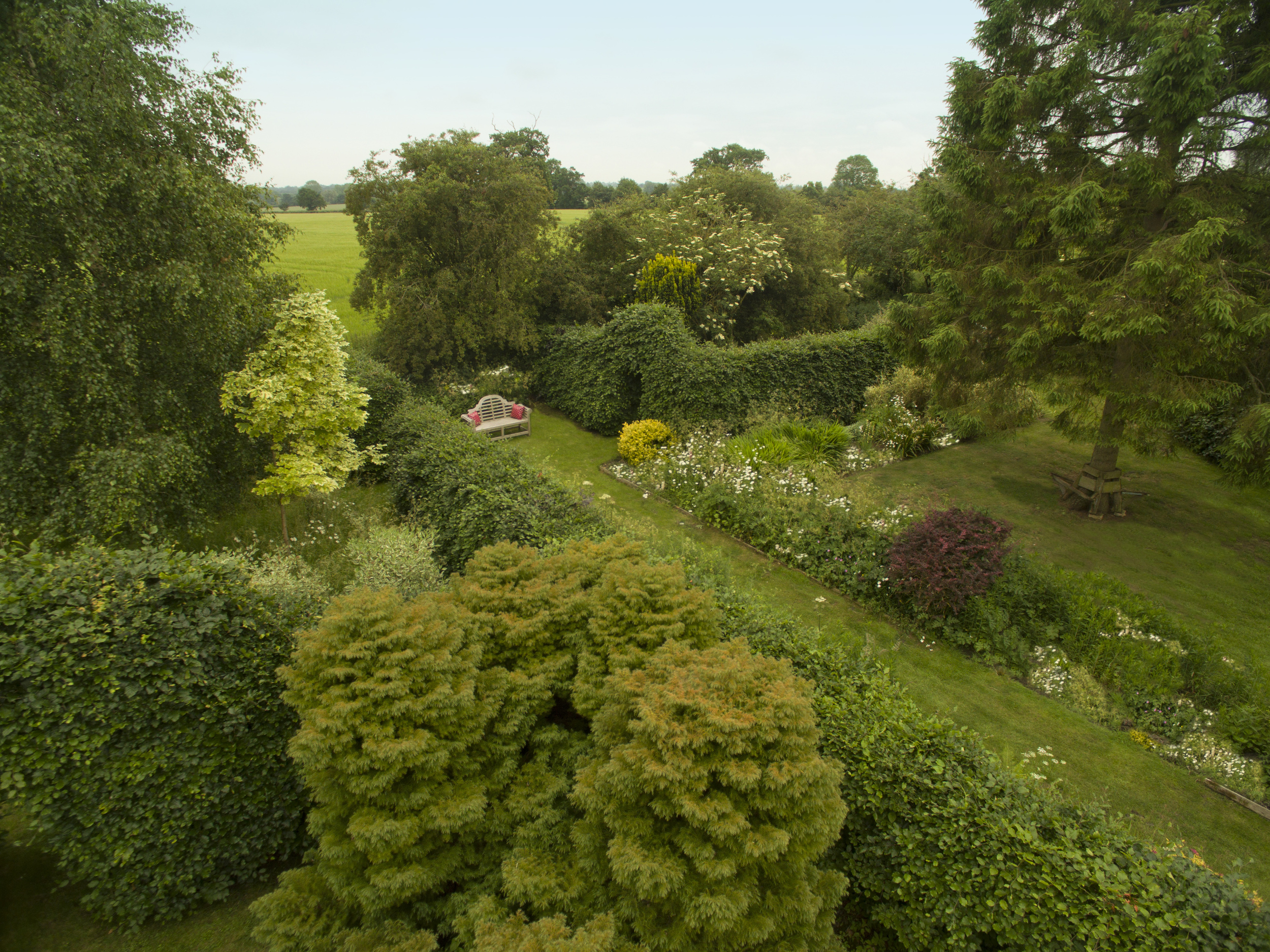 Camomile Cottage Gardens
