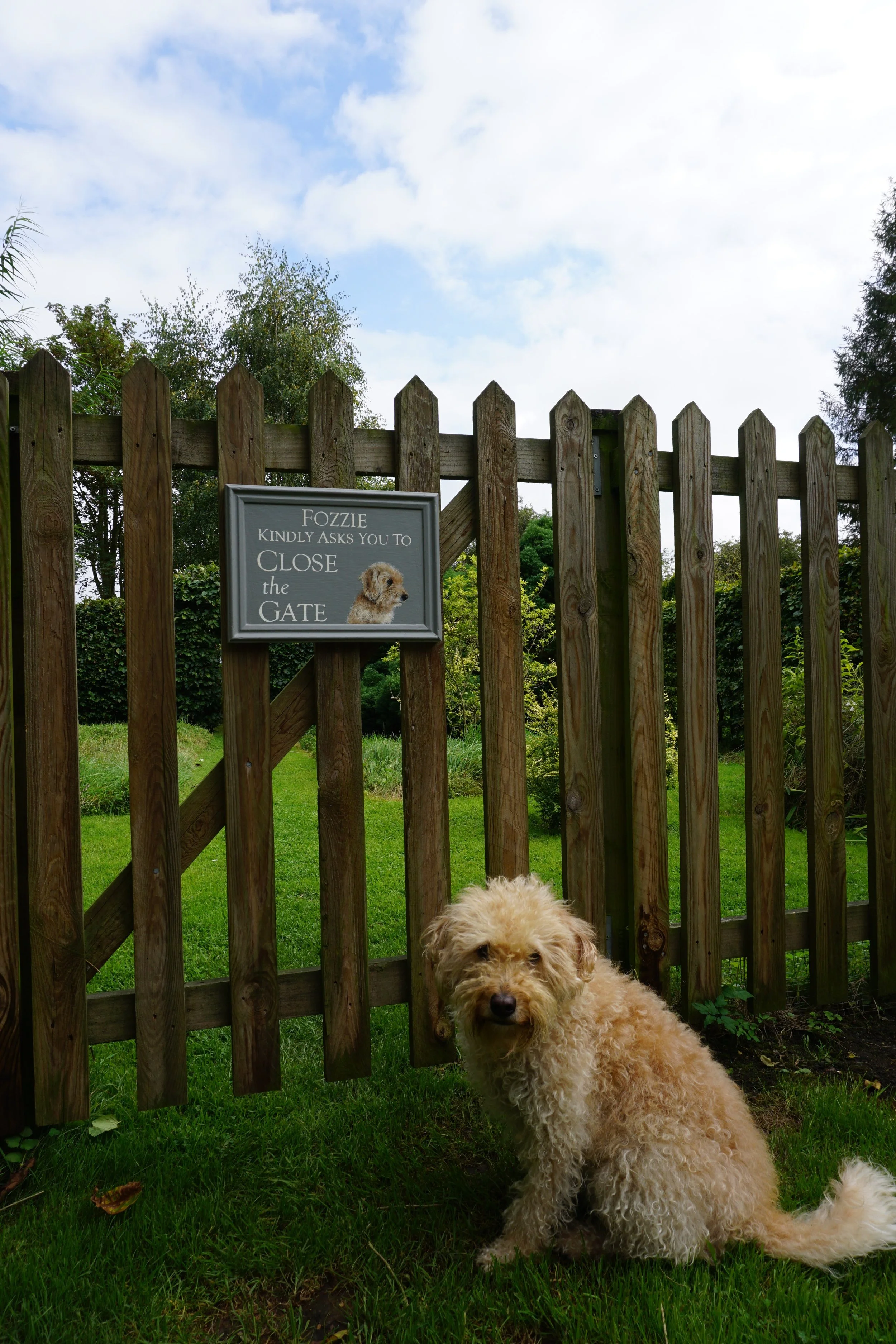 Fozzie's new garden gate sign!