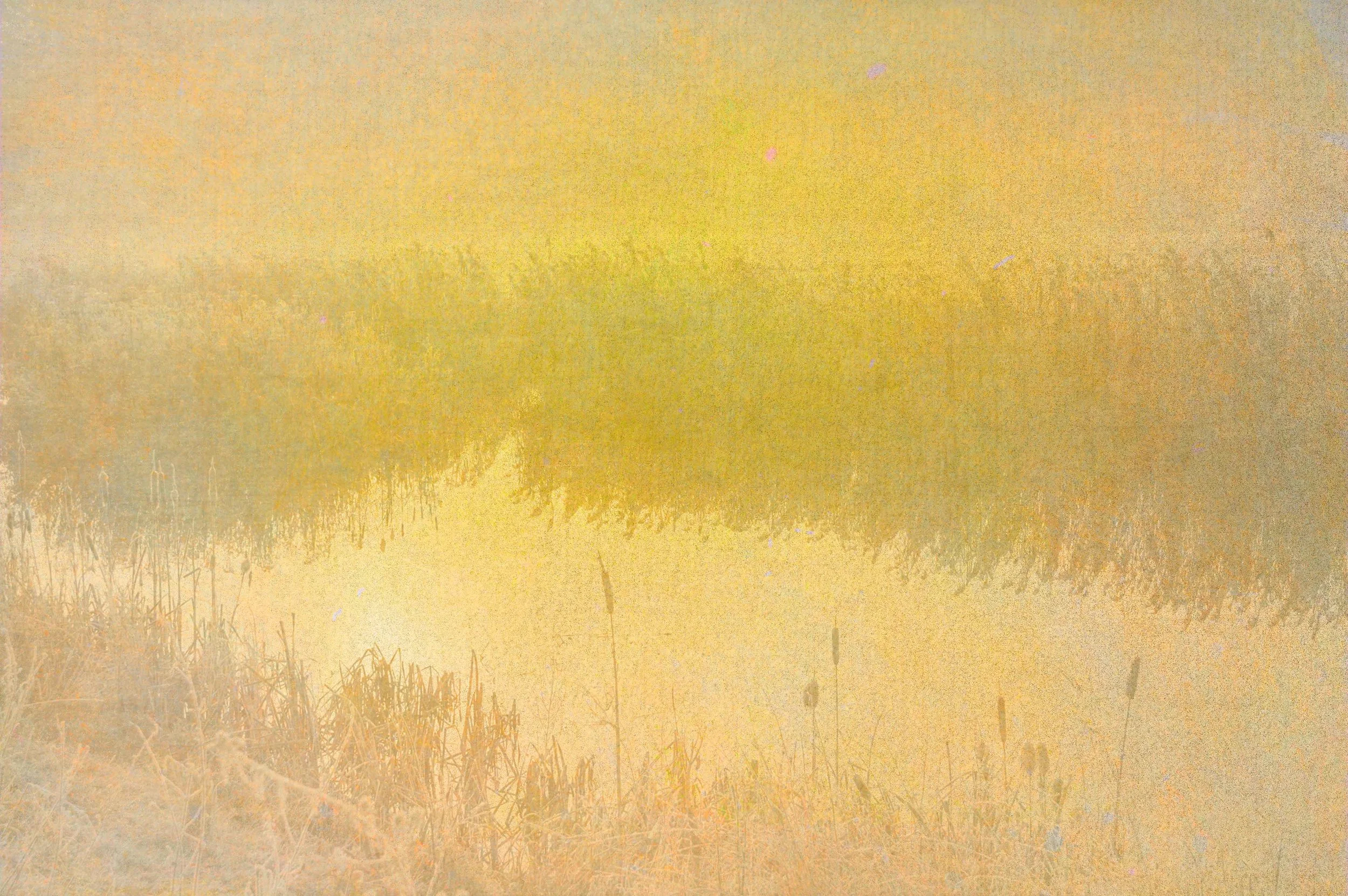 tkah116122.jpg