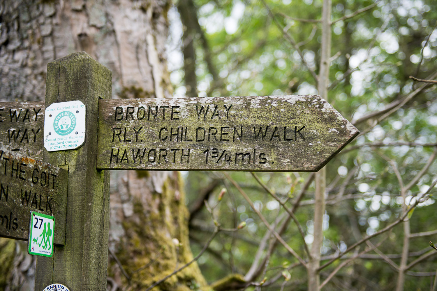 bronte photo shoot in haworth