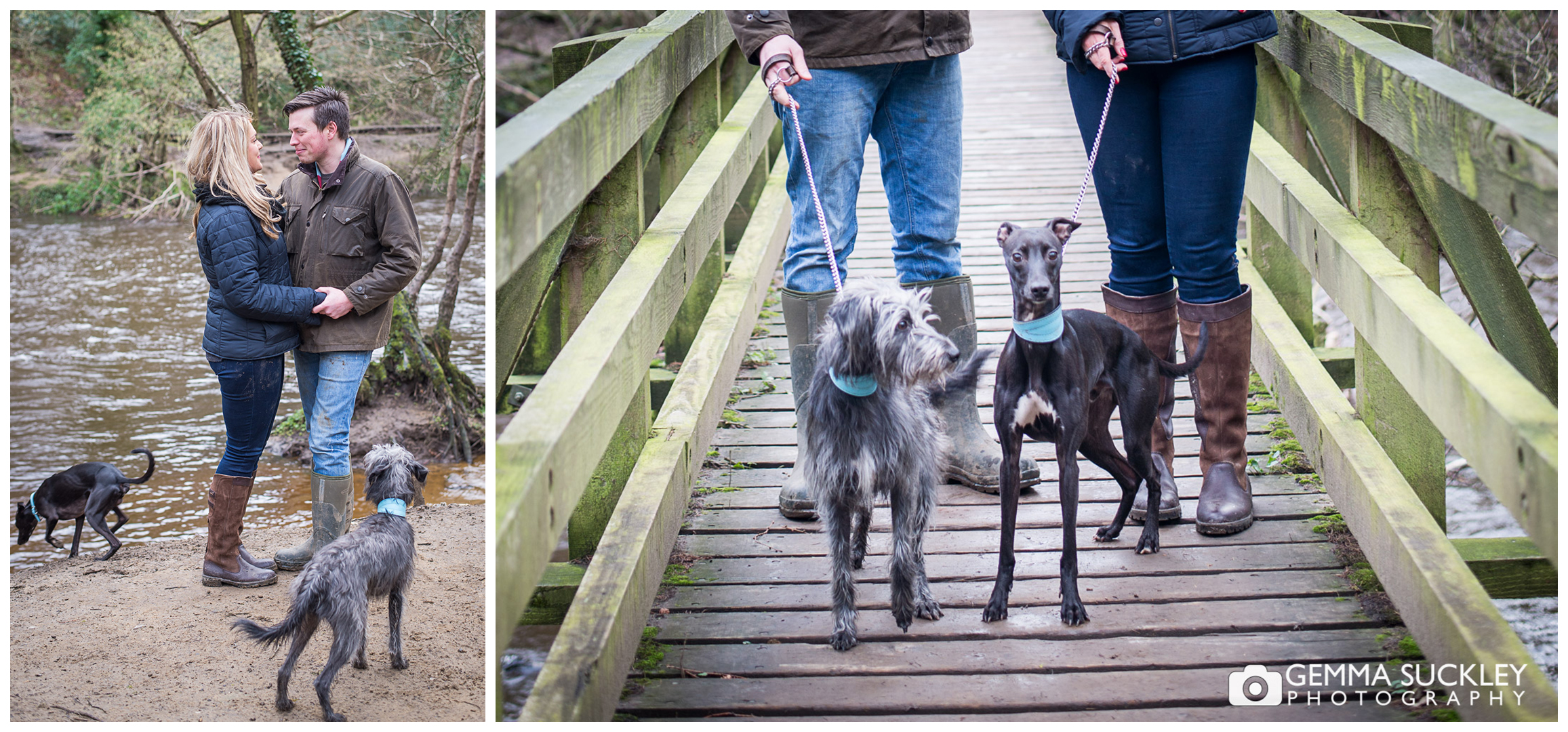 A couple with their dogs on their engagement shoot at Nidd Gorge