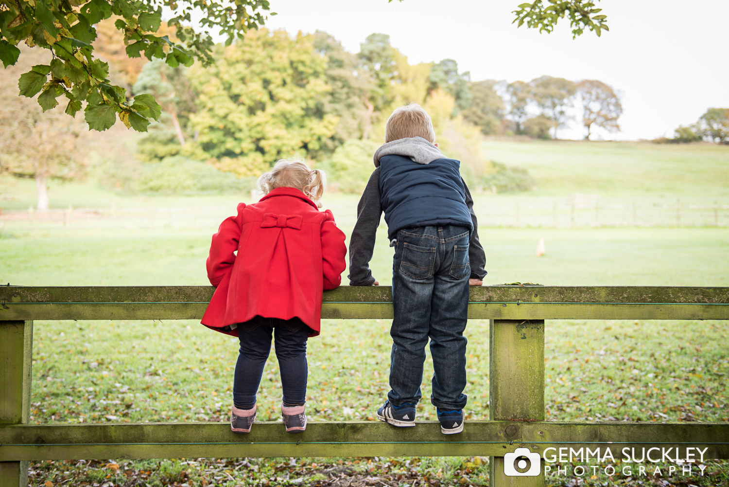 Two children climbing a fence at St ives, bingley