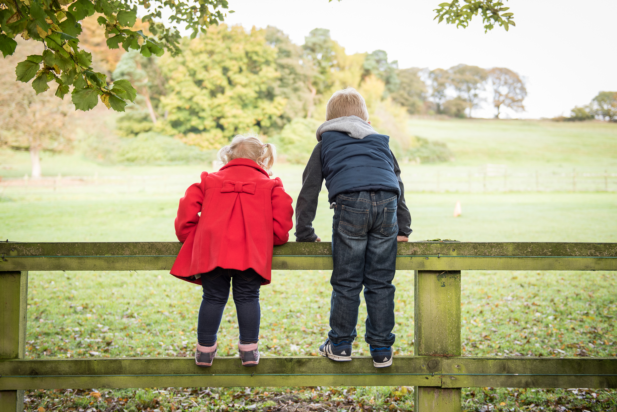 Little girl and boy climbing on a fence in st ives in bingley 