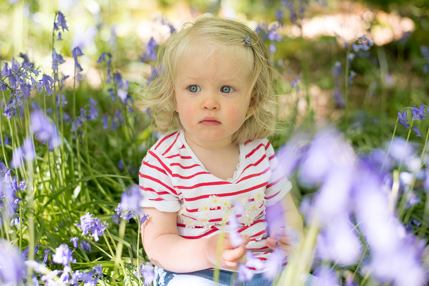 Little girl  in blue bell wood in Ilkley during family photo shoot