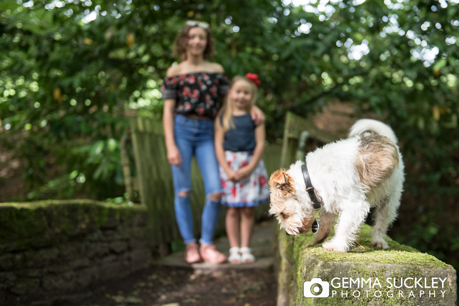 a dog jumping off a wall and ruining a family photo in skipton