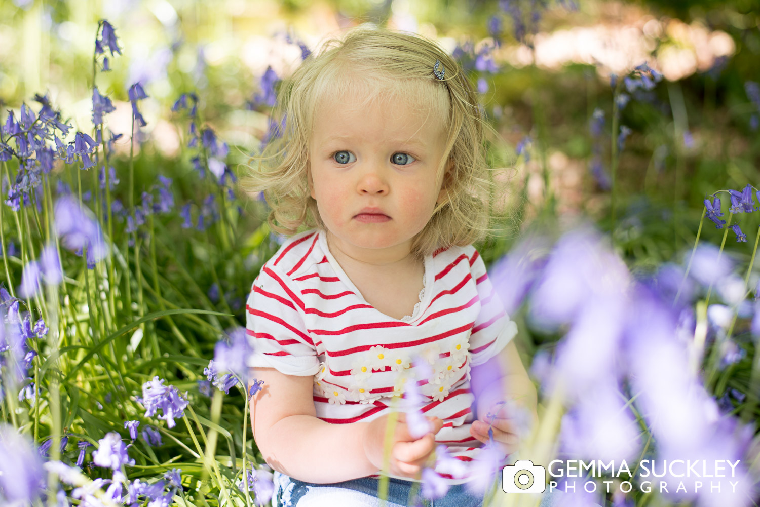 little girl sitting in the bluebells in bluebell wood in ilkley