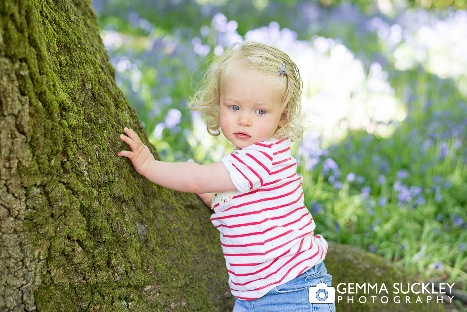 little girl holding onto a tree in bluebell wood 