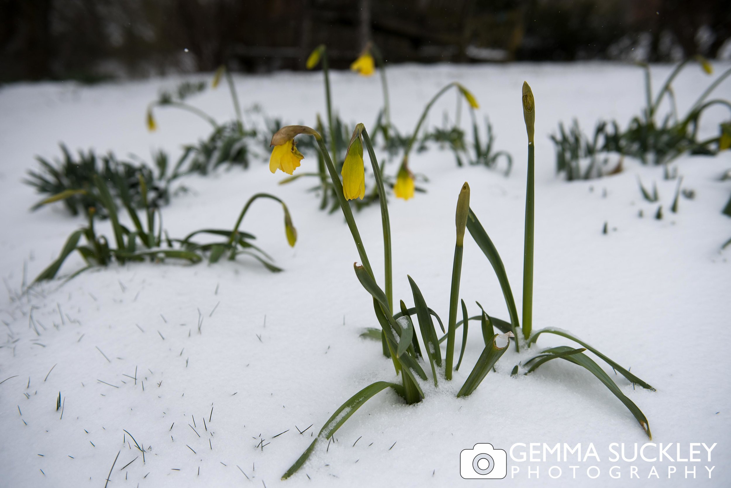 grassington-spring-wedding.jpg