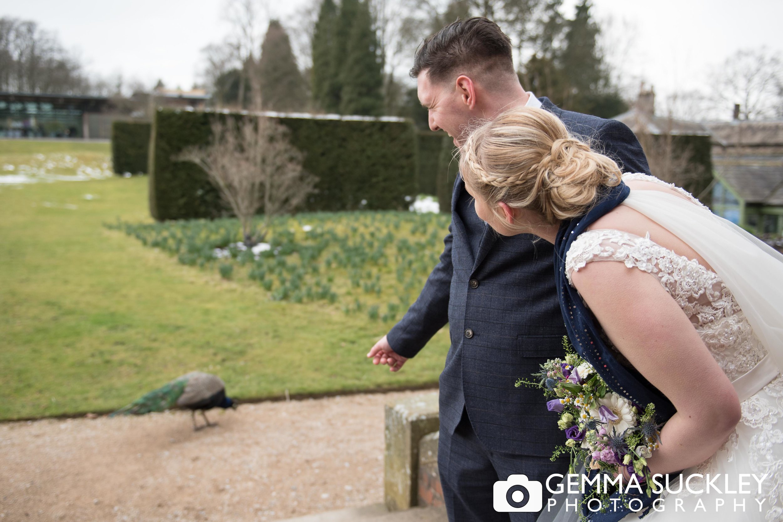 peacock-at-broughton-hall-wedding.jpg