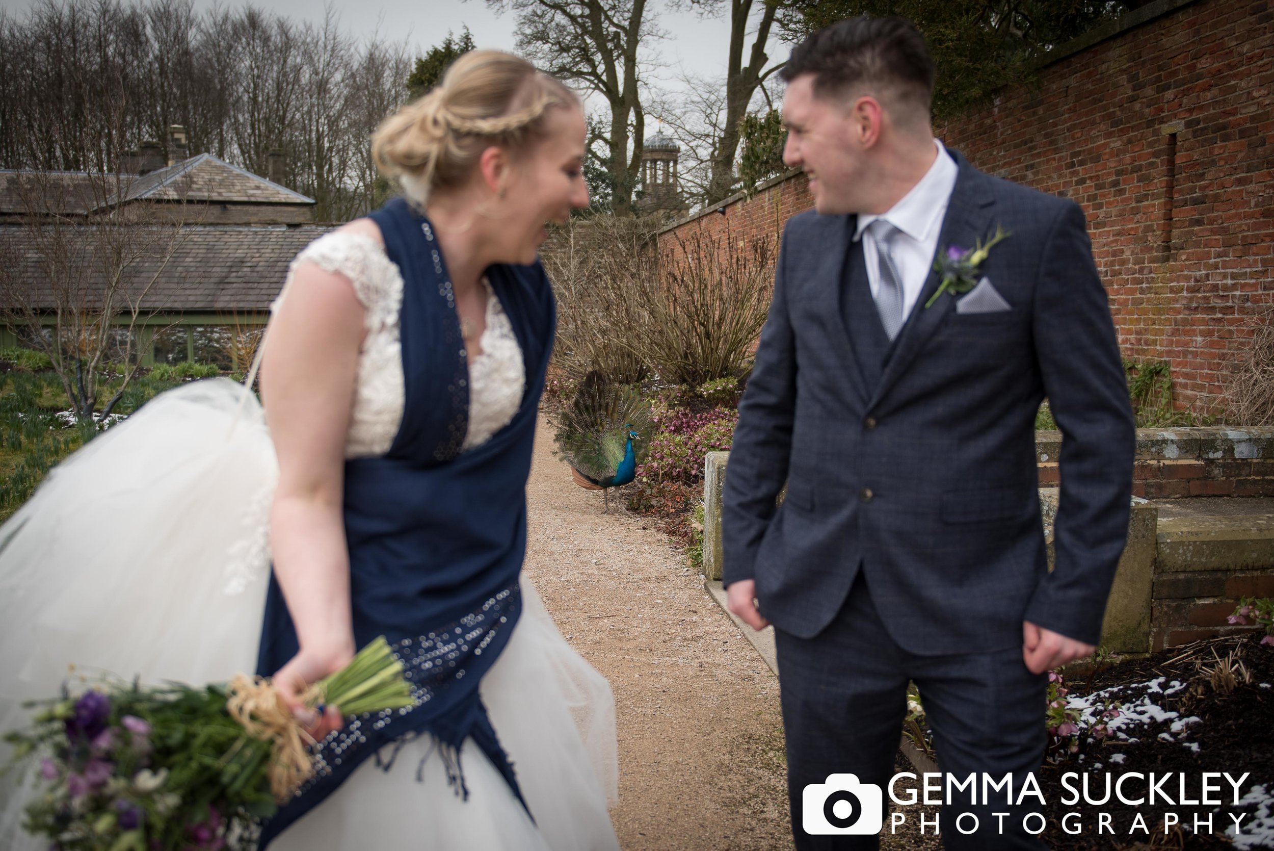 bride and groom with a peacock beind them at broughton hall