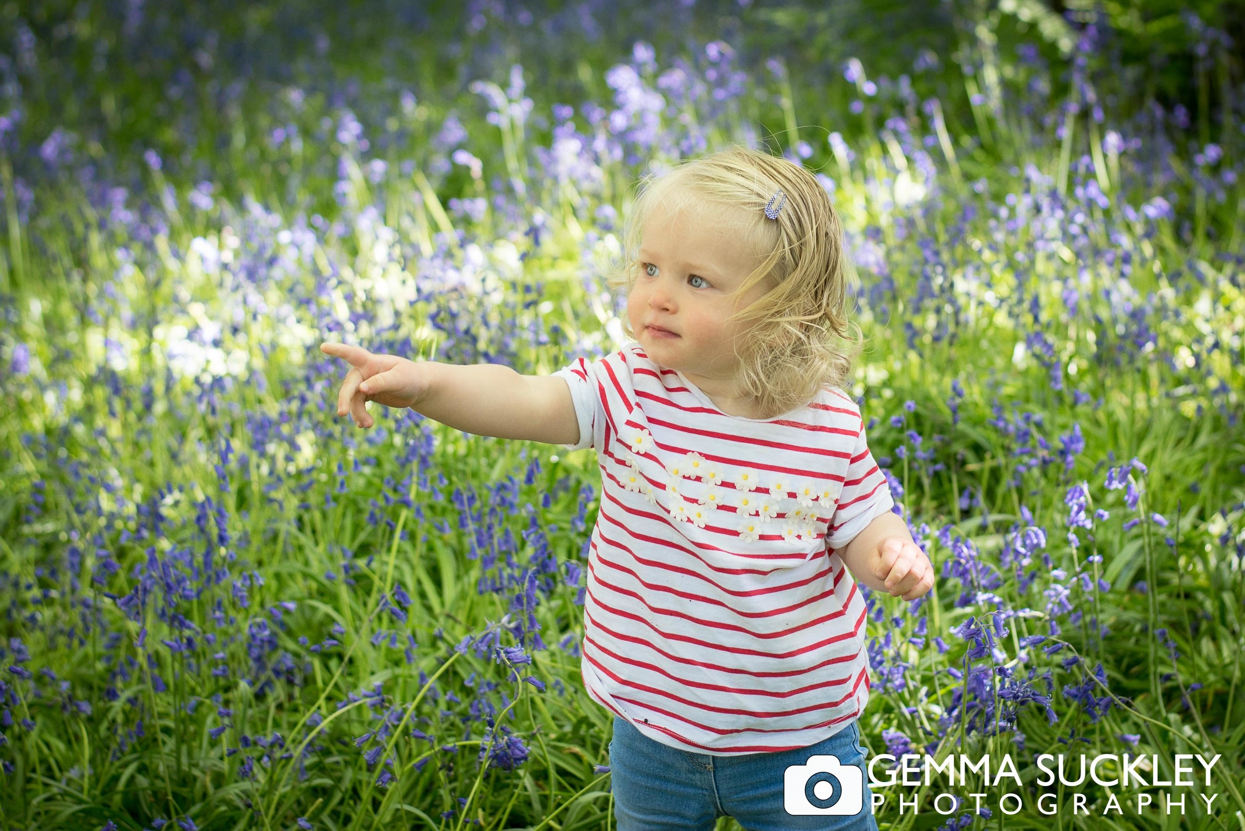 baby-photography-bluebell-wood.jpg