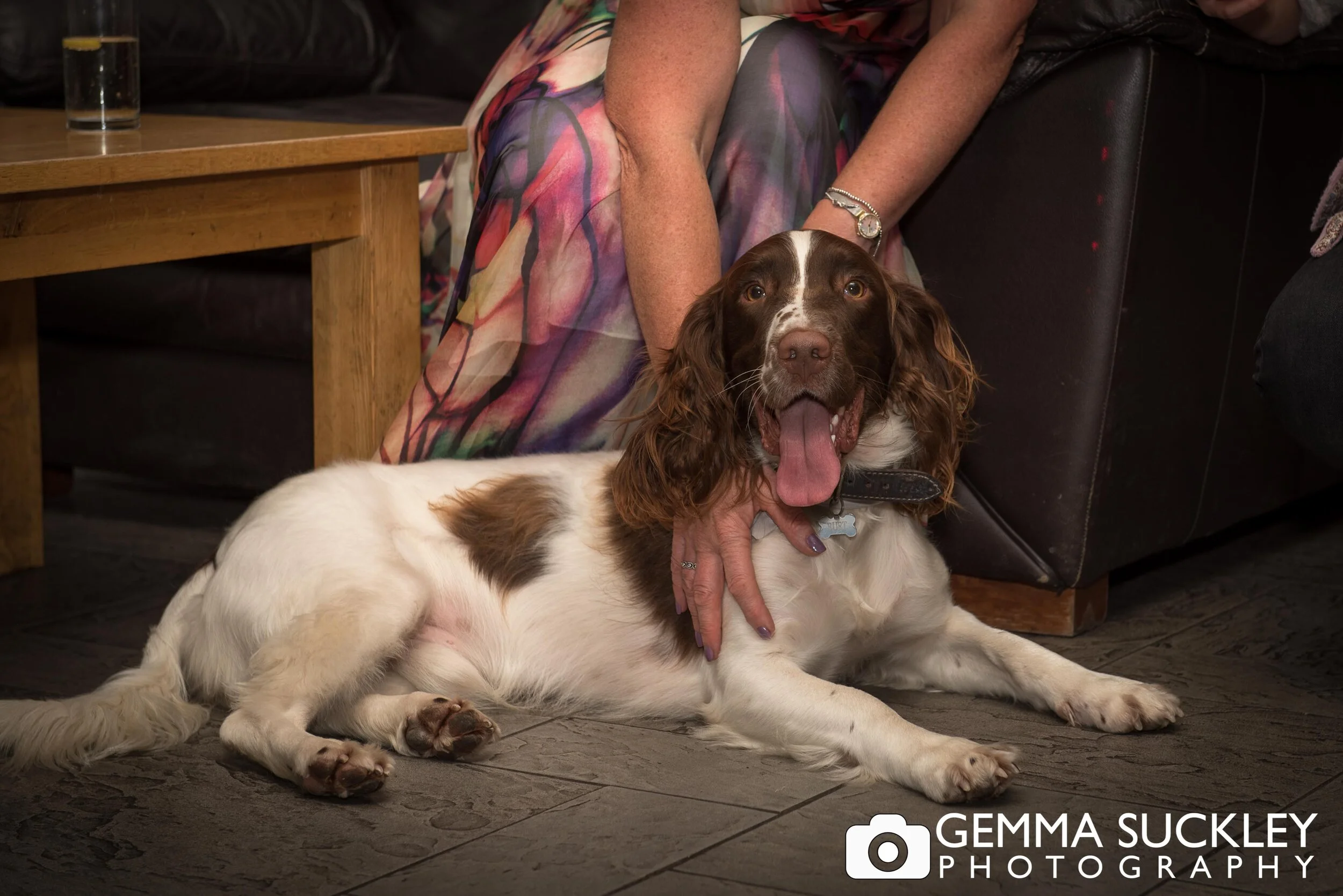 dogs-at-wedding-yorkshire-photographer.jpg