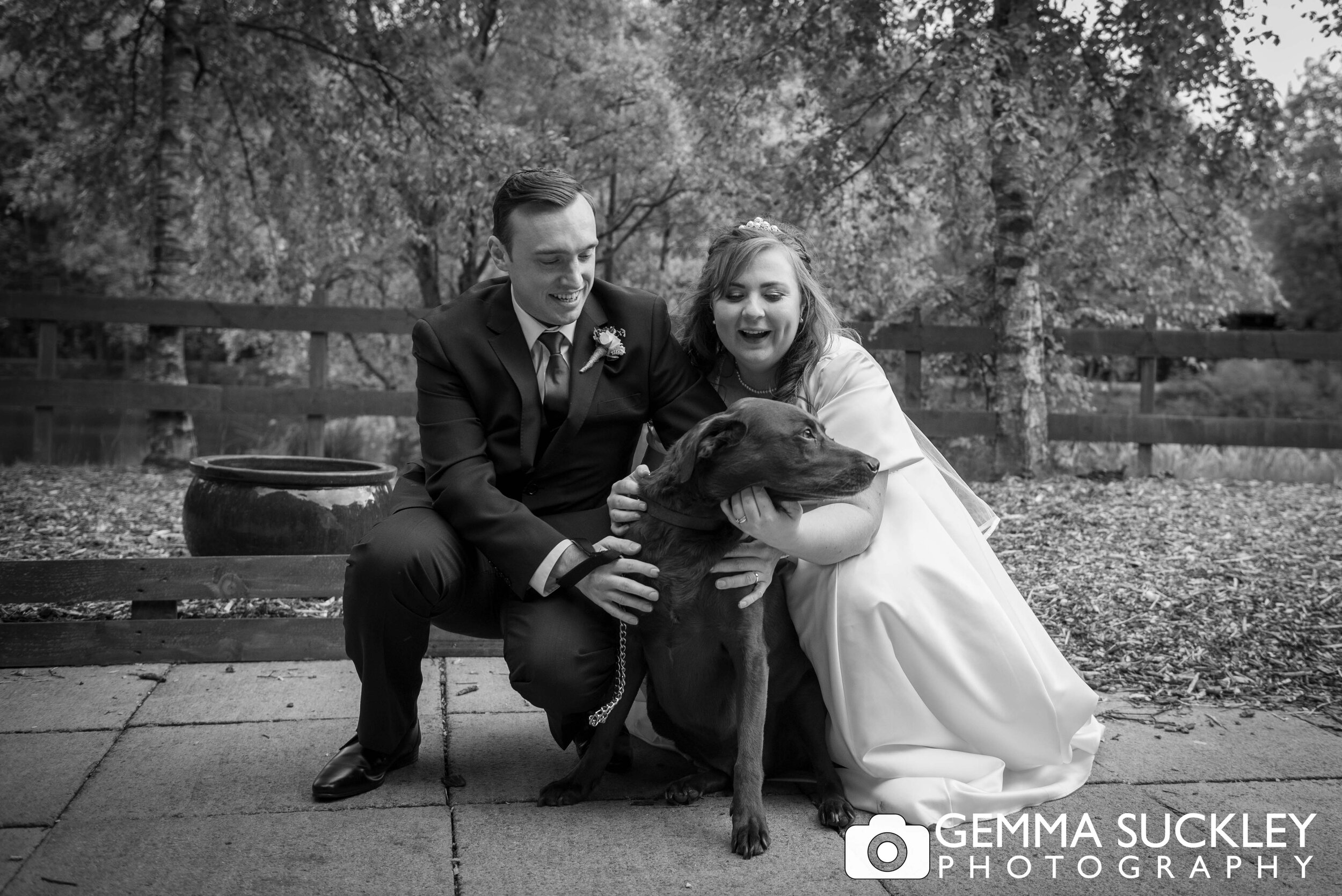 bride and groom with the labrador on their weddng day