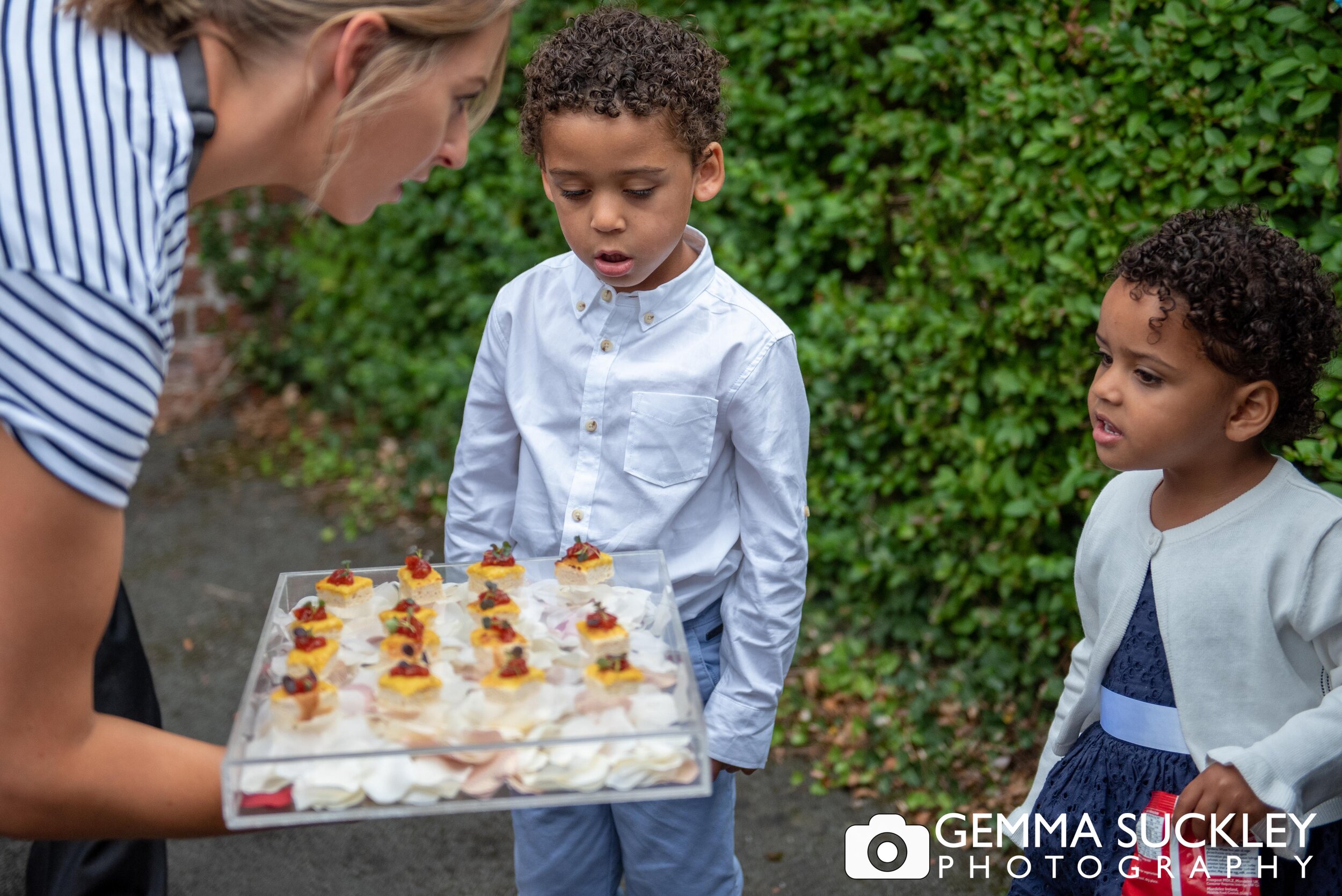 little boy being offered a wedding canape 