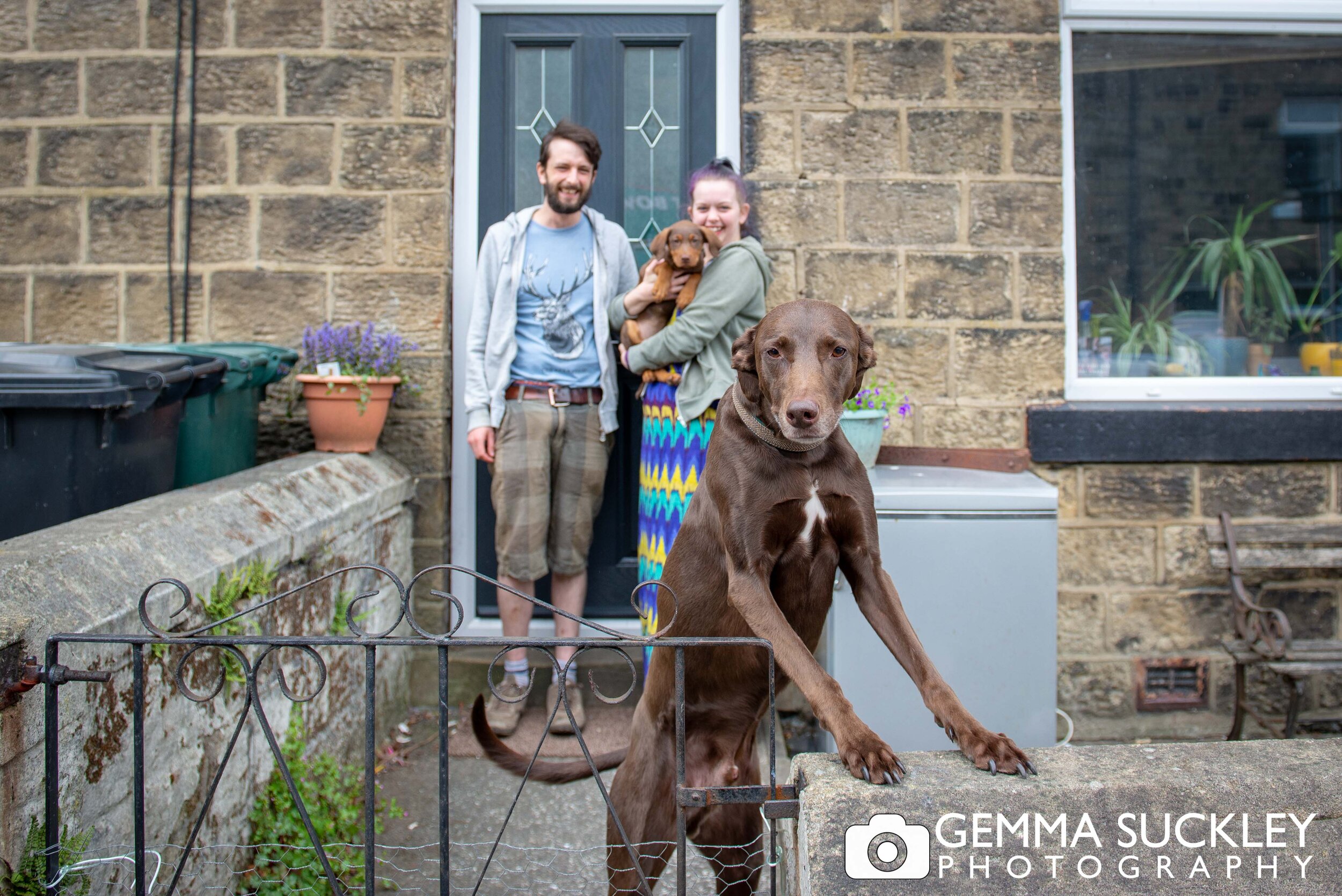 steeton-lockdown-doorstep-photos-with-dogs.jpg