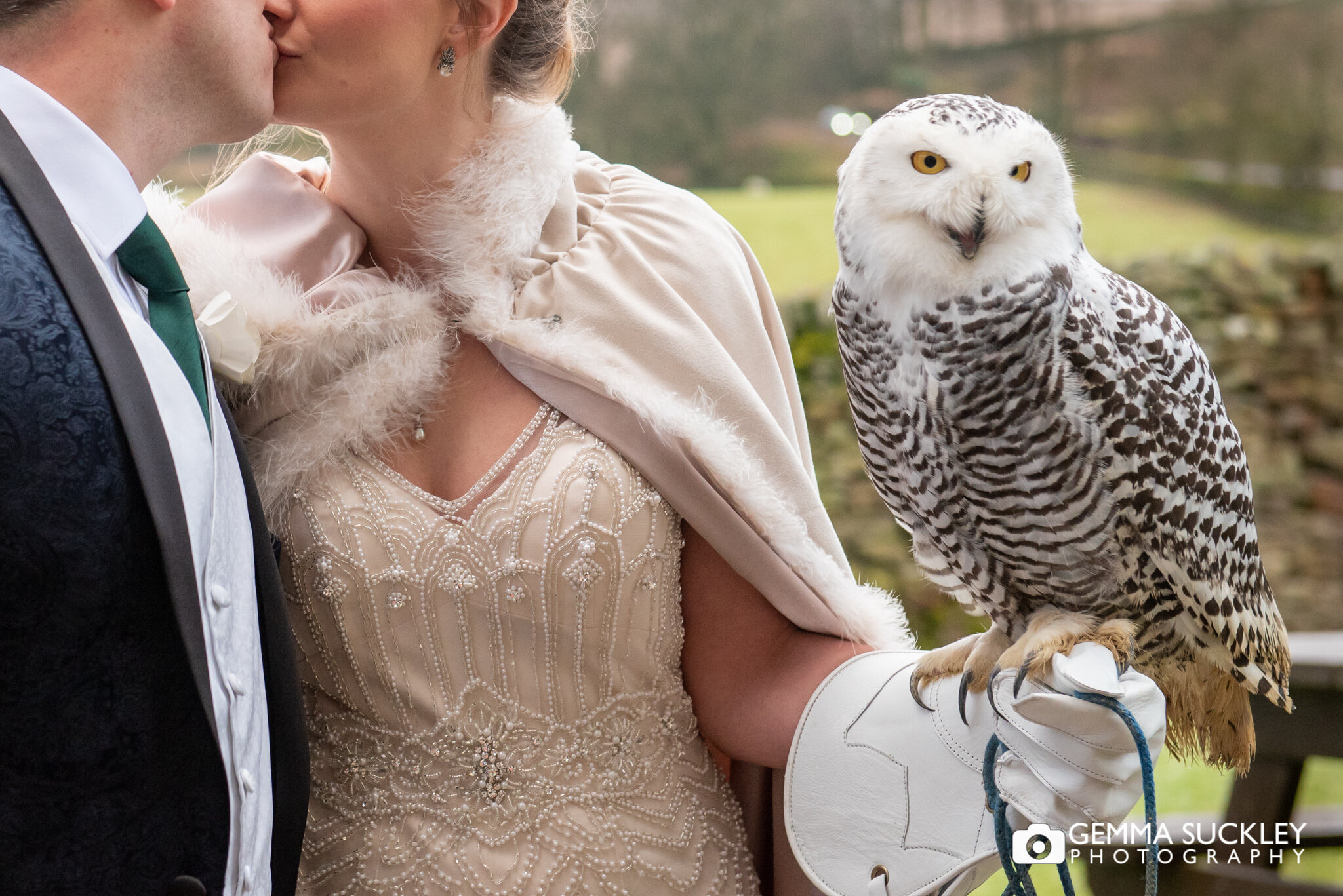 a bride and groom holding a snowy owl