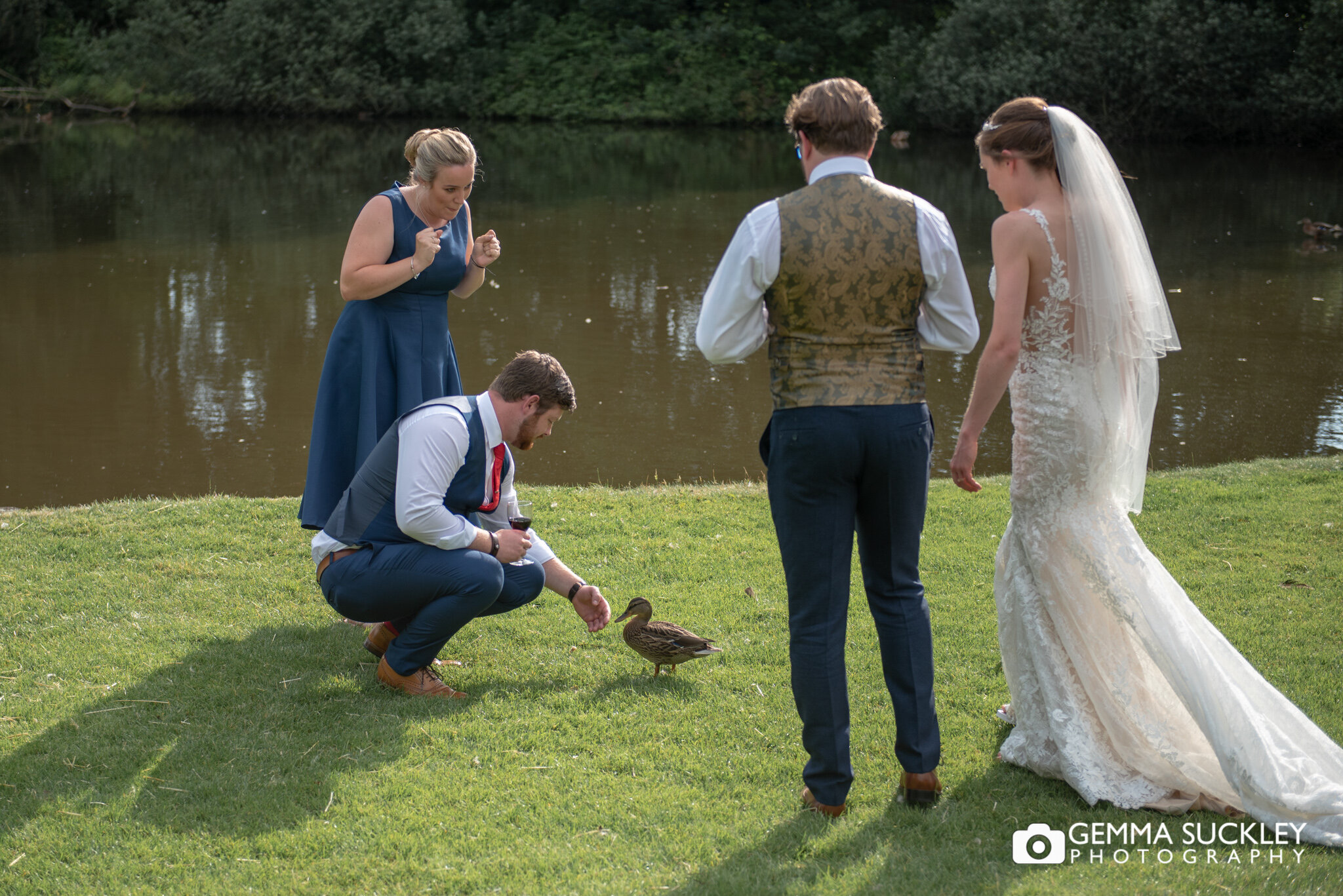 bride and groom watch as a wedding guest try to stroke a ducks 