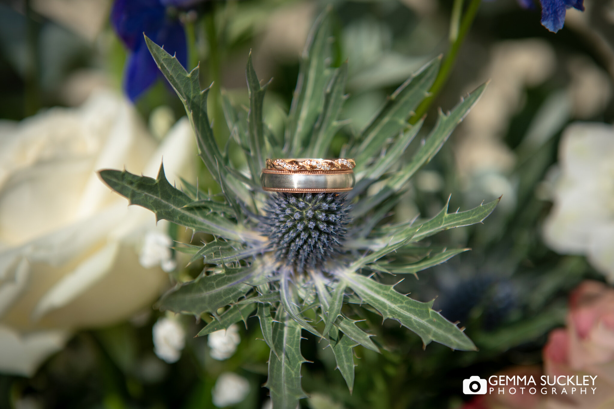 close up photo of the wedding rings placed on a thistle
