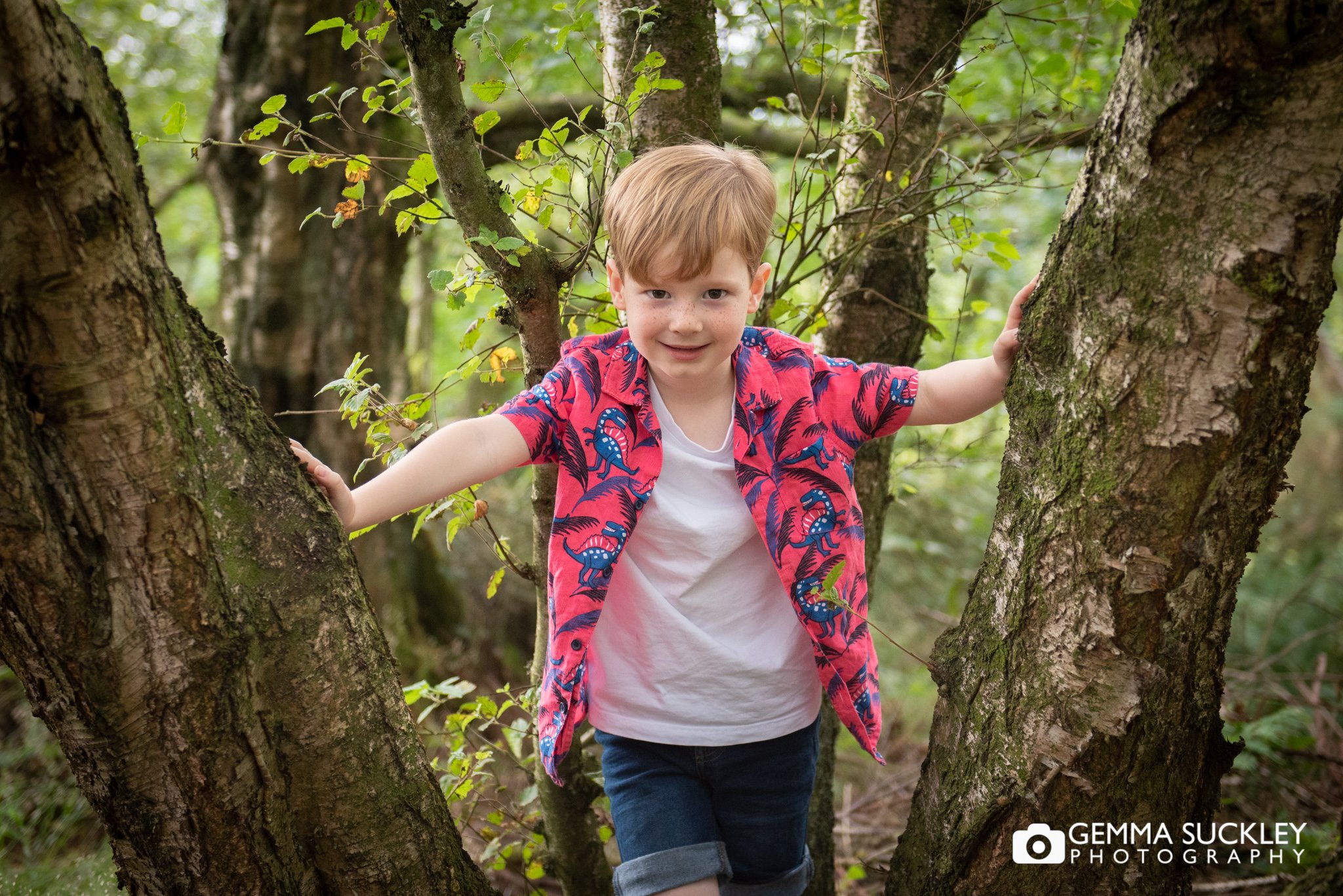 portrait of a little boy in otley chevin climbing a tree