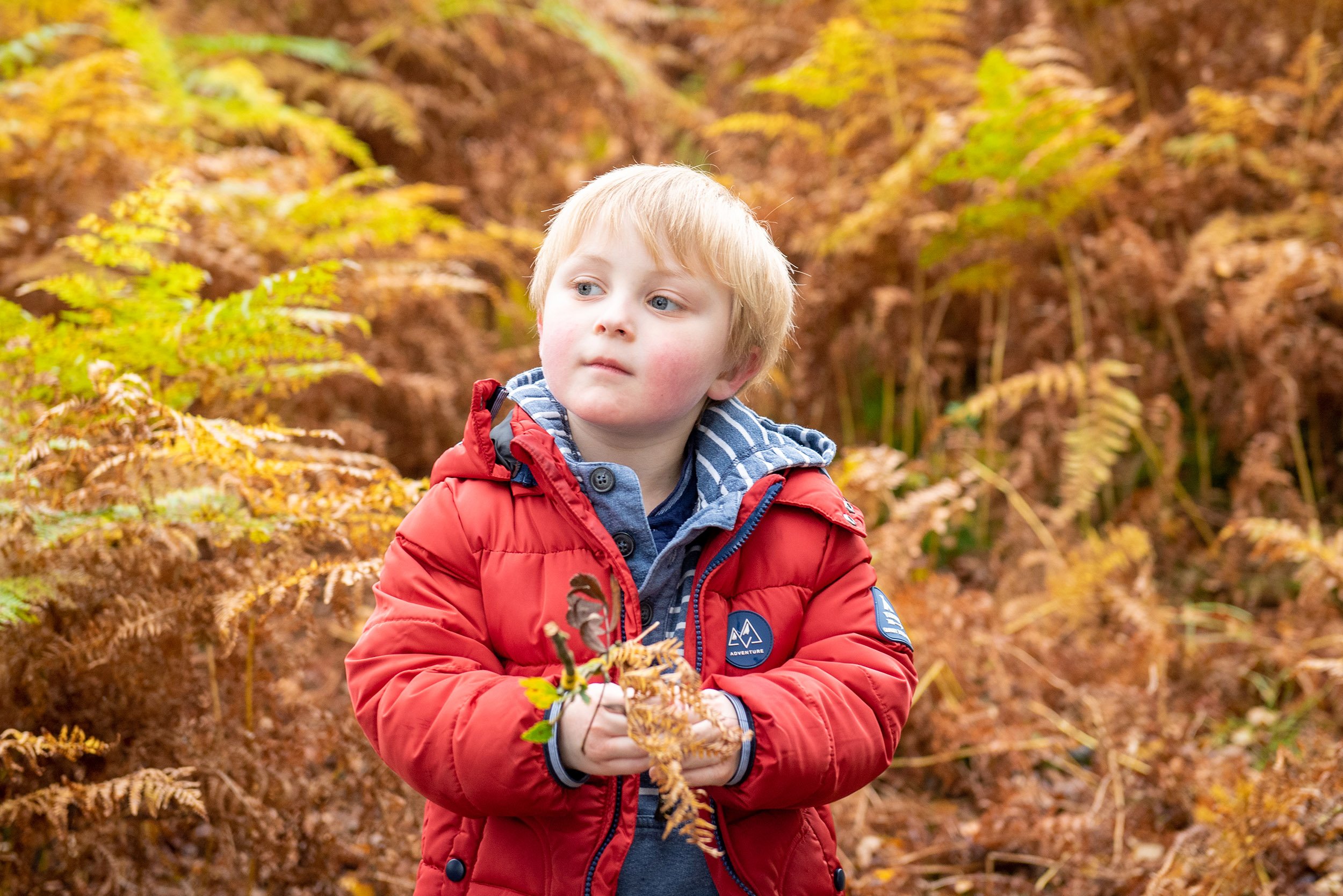 a little boy collecting autumn leaves during a photo shoot on farnhill pinnacle 