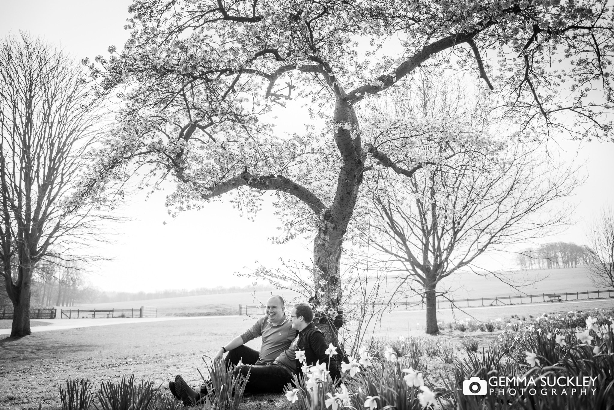 a engaged couple sitting under a blossom tree at temple newsam