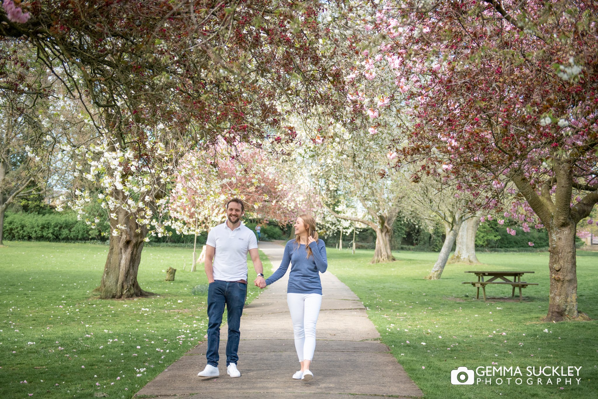 an engaged couple walking under blossom trees in skipton park